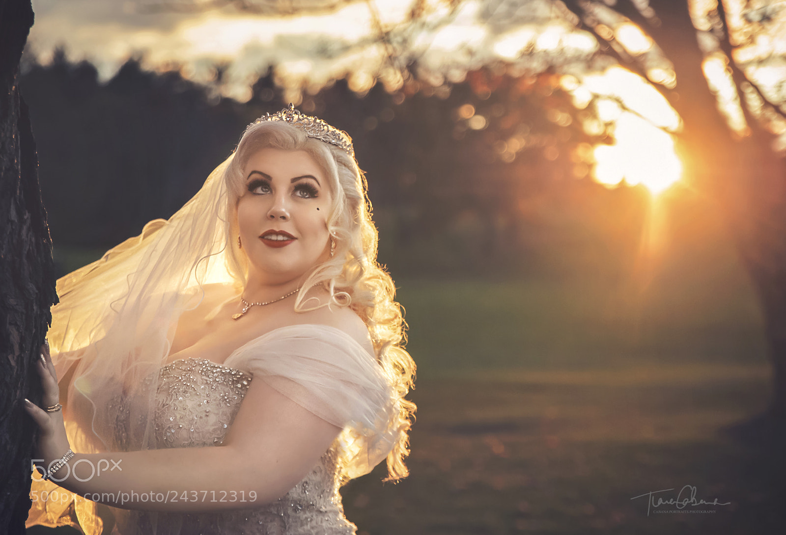 Nikon D700 sample photo. Bridal glance photography