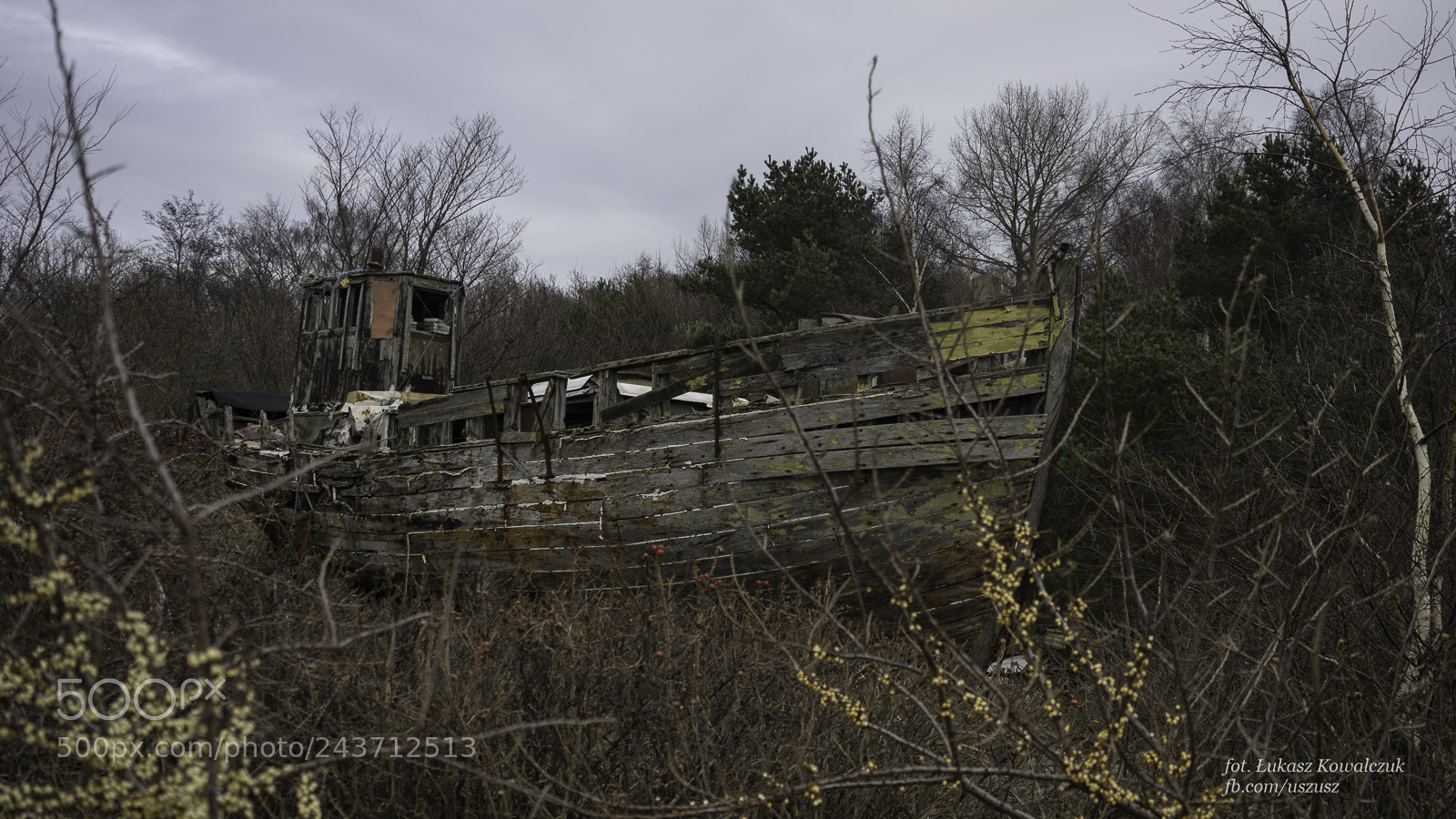Sony a7 II sample photo. * photography