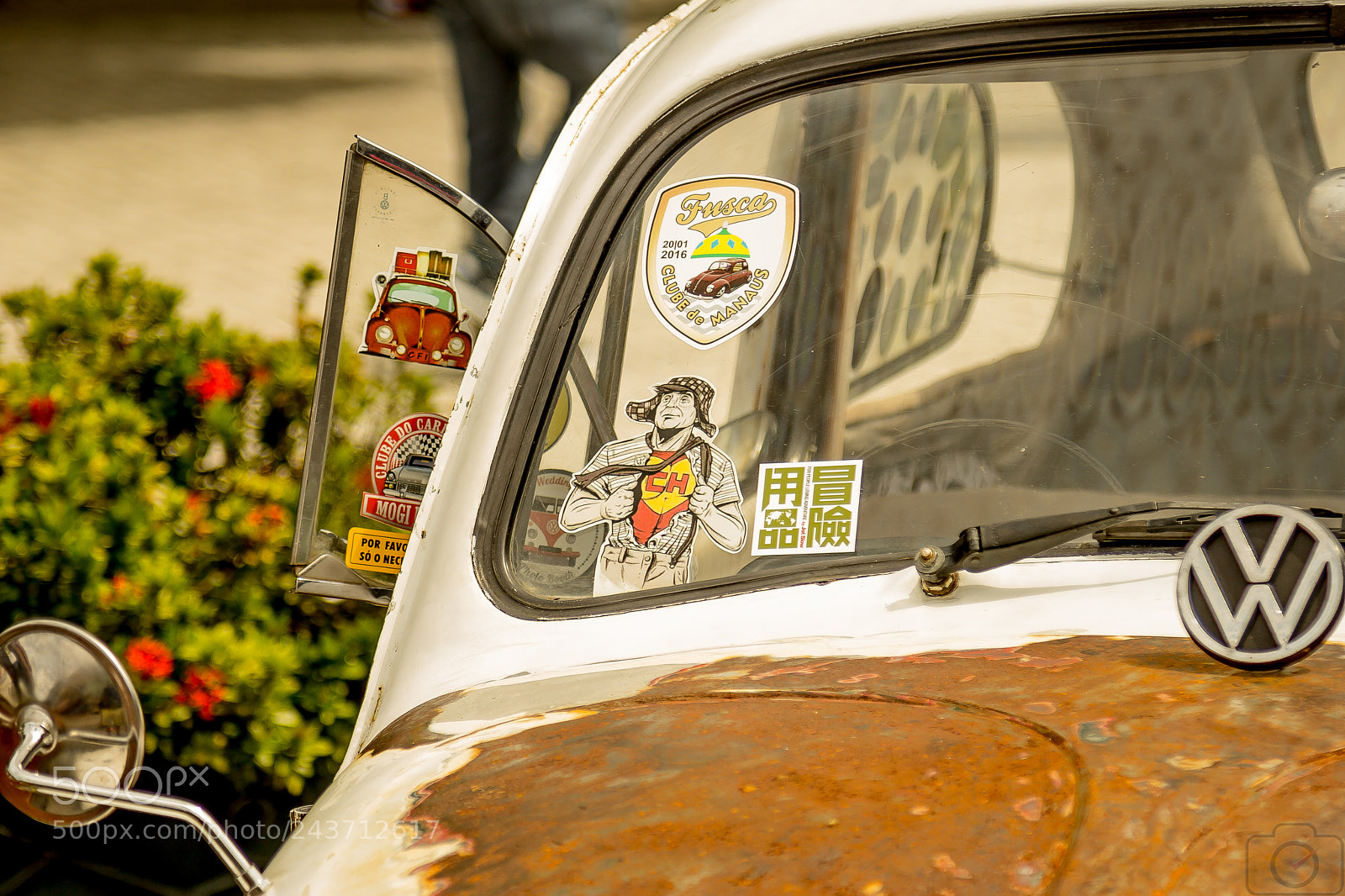 Canon EOS 60D sample photo. Mg photography