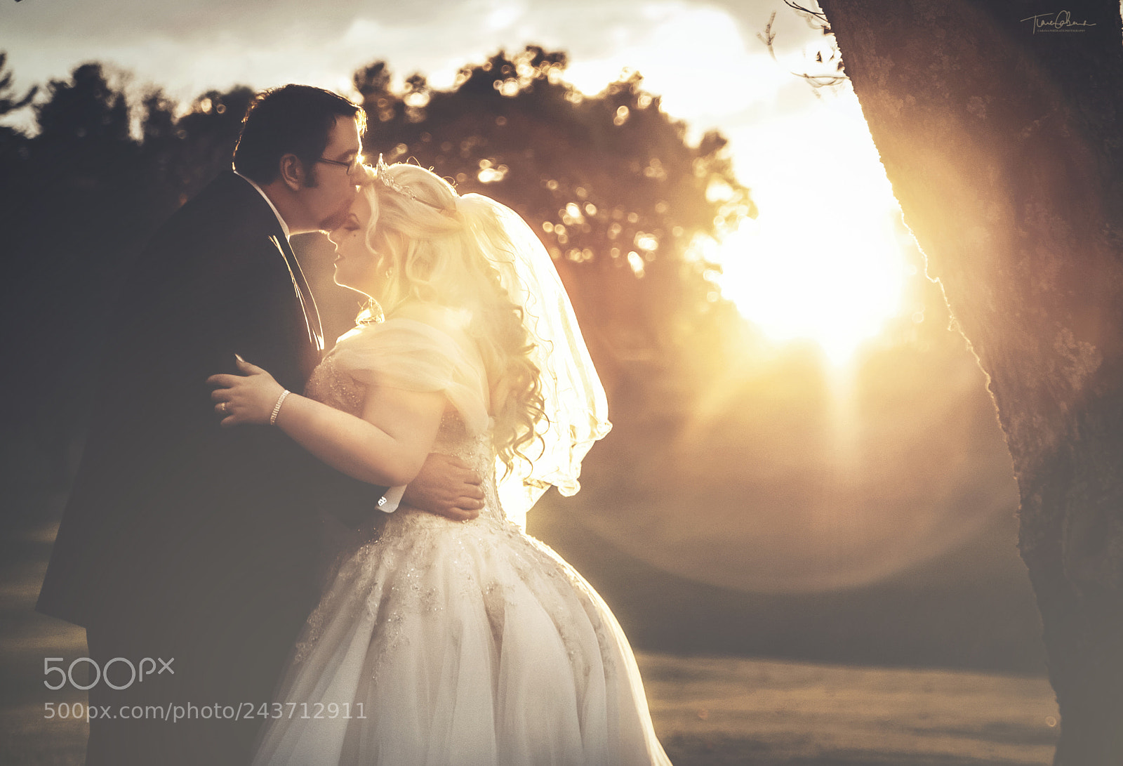 Nikon D700 sample photo. Bathed in love and photography