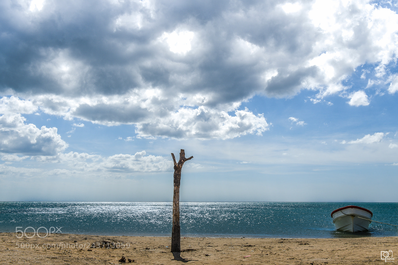Nikon D810 sample photo. Untitled photography