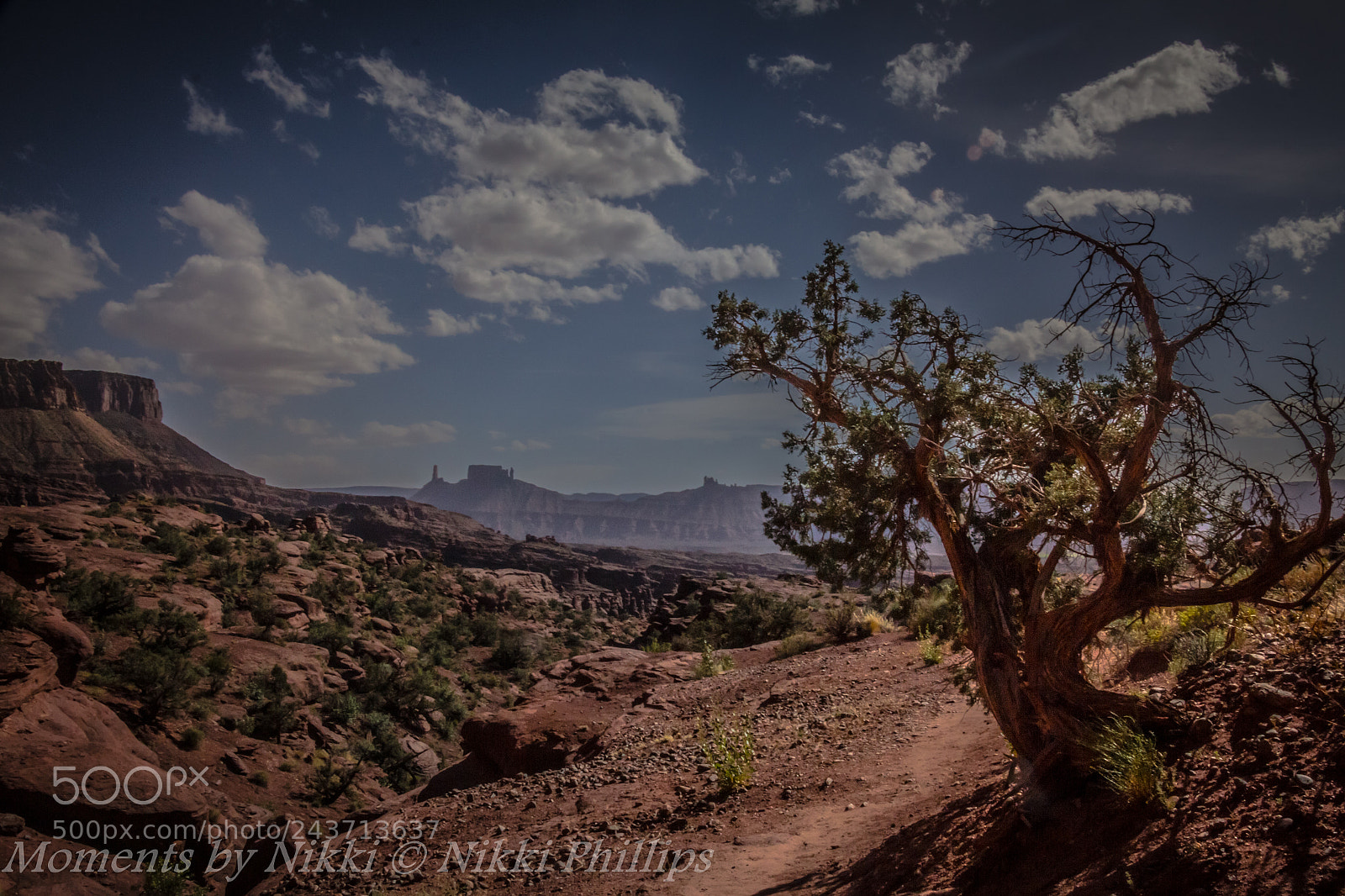Canon EOS 60D sample photo. Morning hike photography