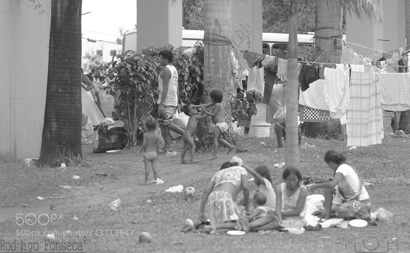 Canon EOS 60D sample photo. Luta pela sobrevivencia photography