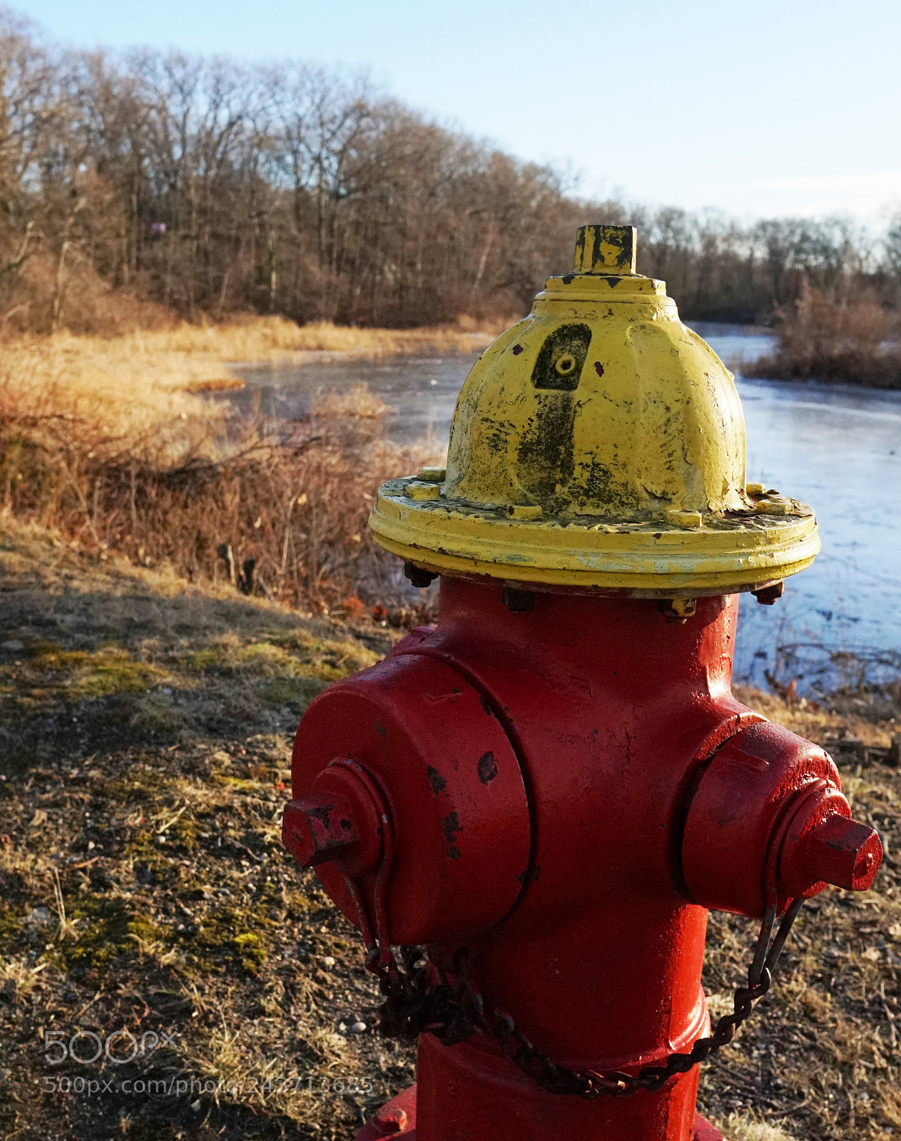 Sony a6500 sample photo. Fire hydrant for a photography