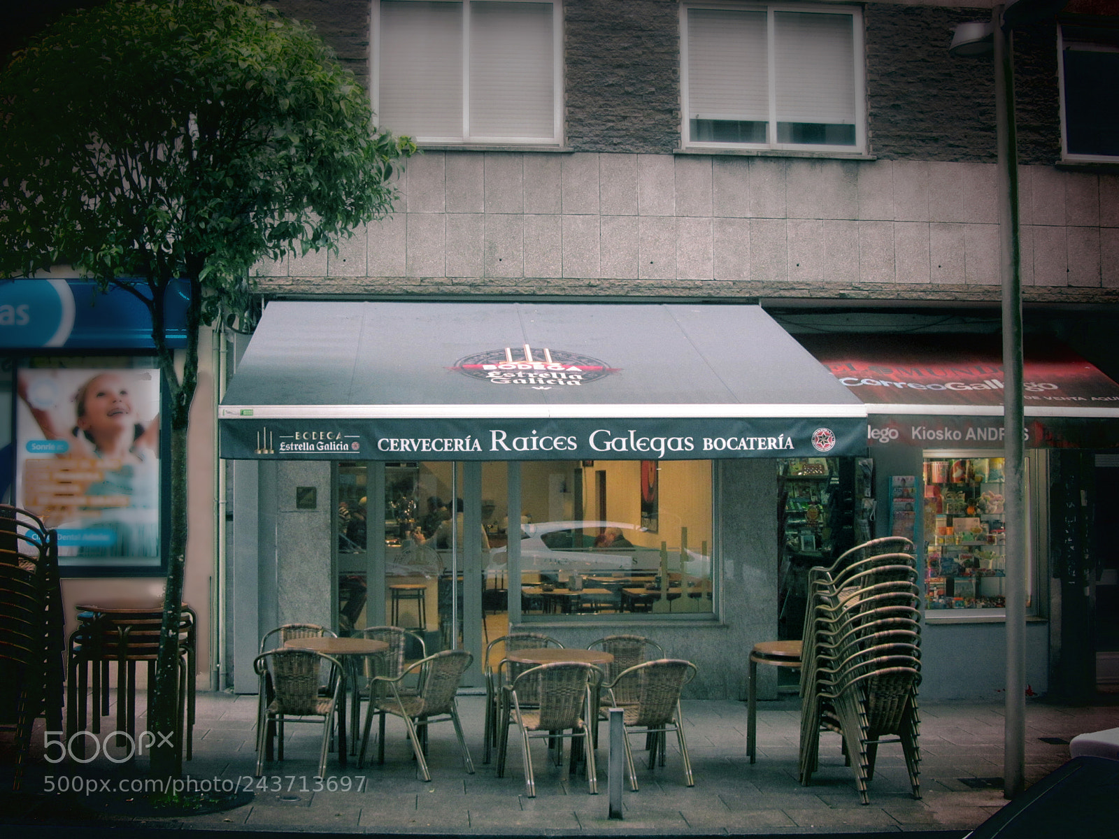 Canon PowerShot SX150 IS sample photo. Raices photography