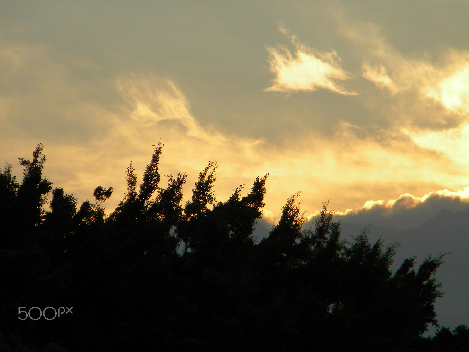 Nikon Coolpix L100 sample photo. Sky yellow photography