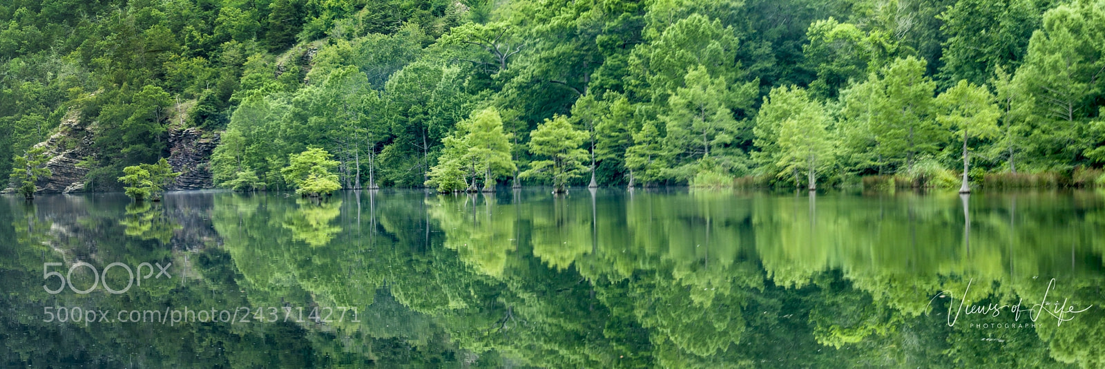Canon EOS 50D sample photo. Still morning on beaver photography