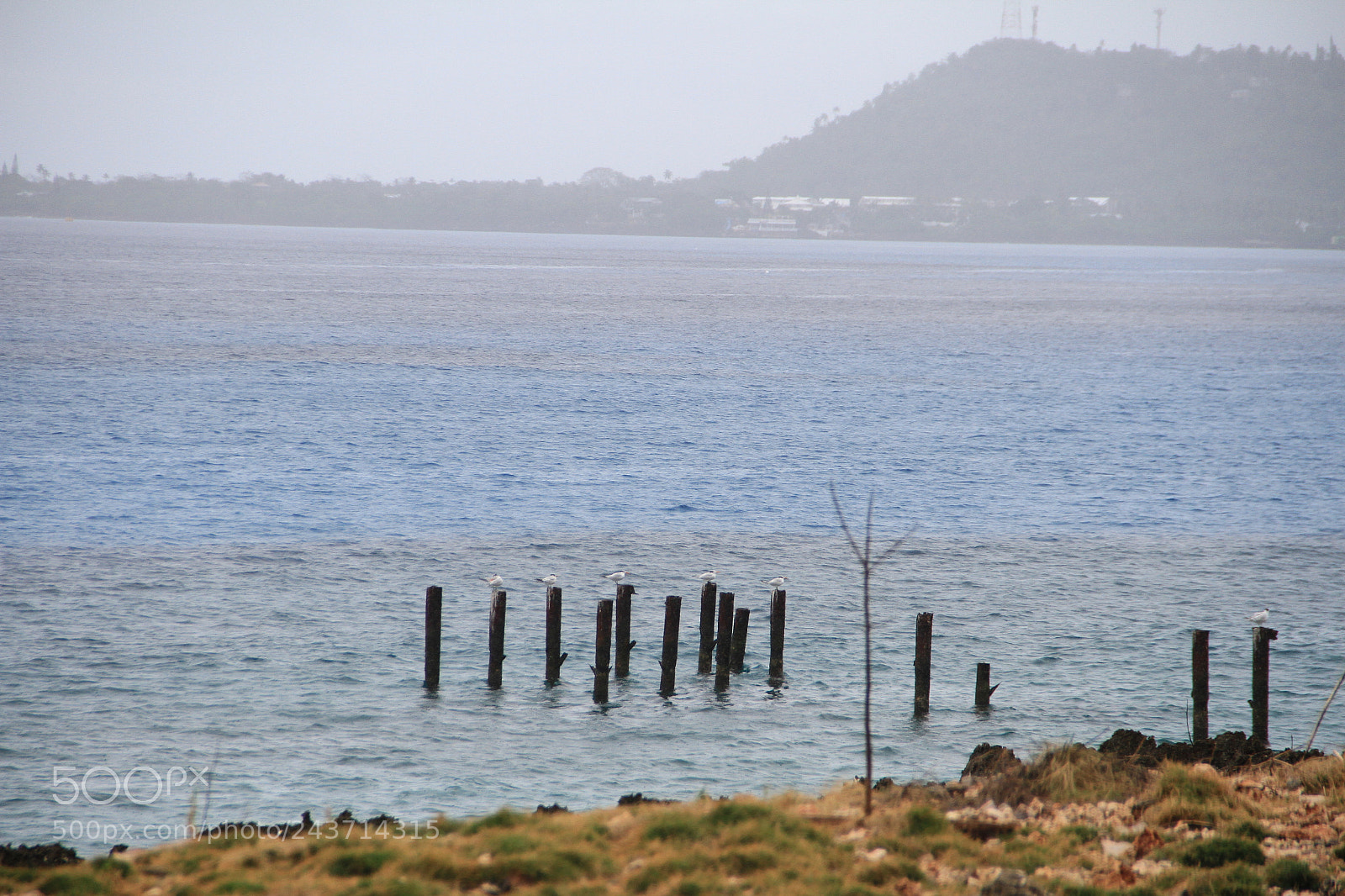 Canon EF-S 18-135mm F3.5-5.6 IS sample photo. San andrés photography