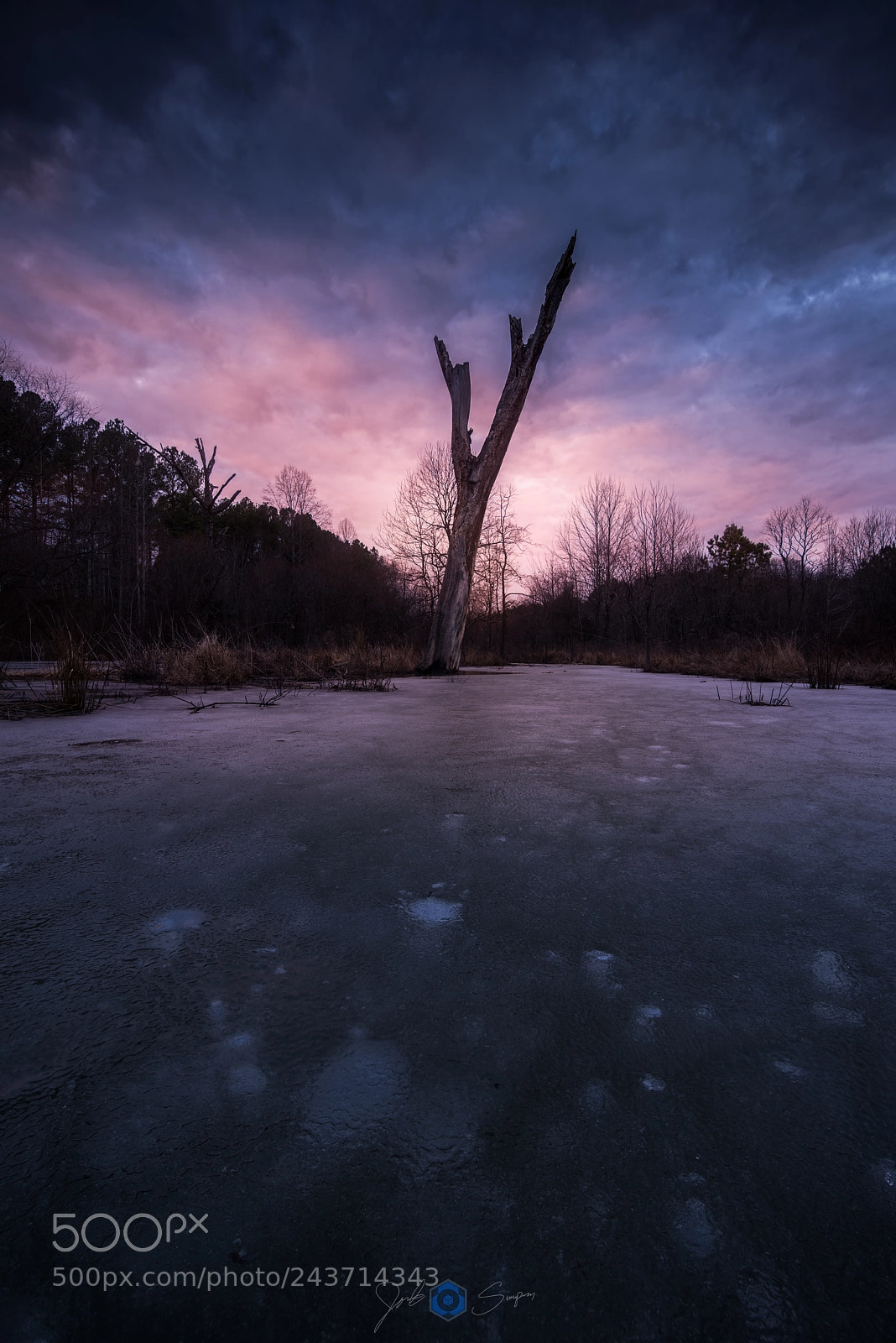 Nikon D810 sample photo. Allurement photography