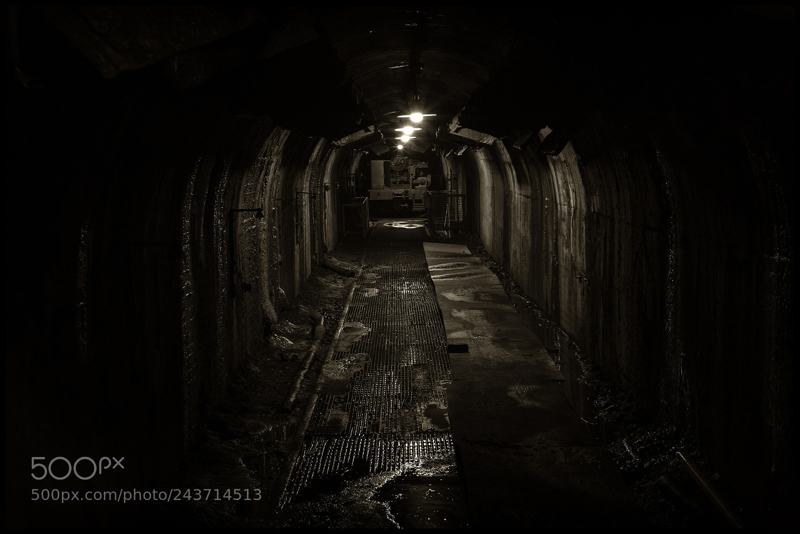 Leica M Monochrom (Typ 246) sample photo. The stock tunnel photography