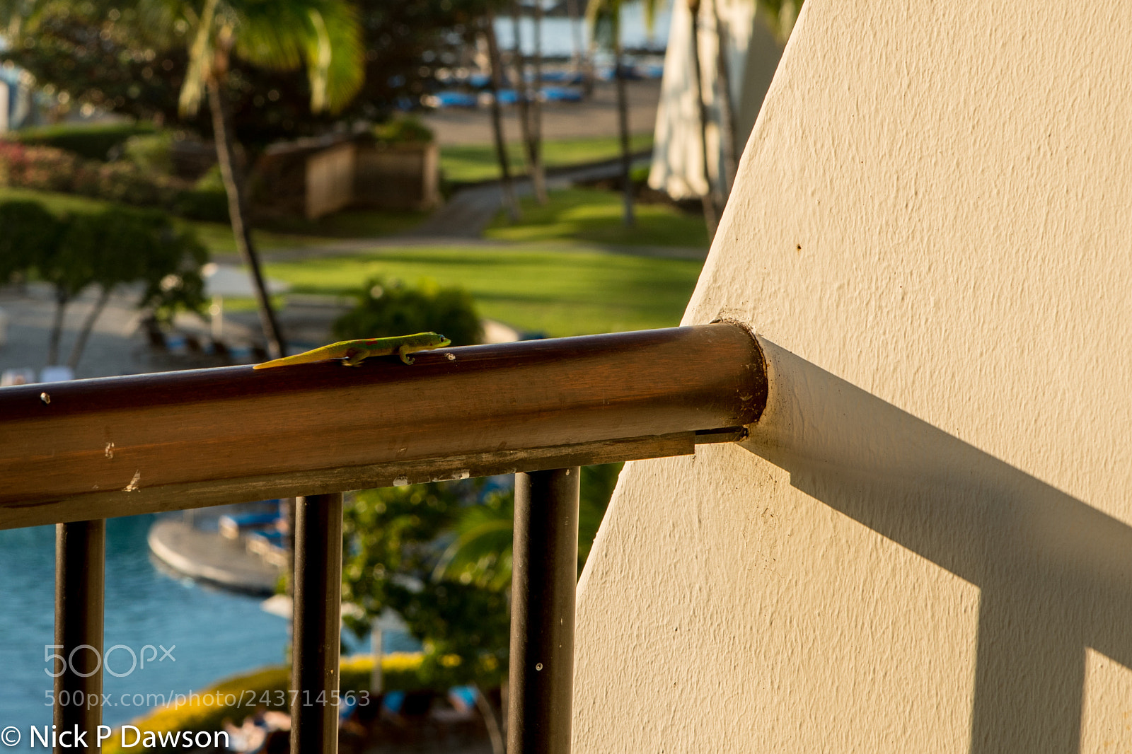 Sony a9 sample photo. Hawaii photography