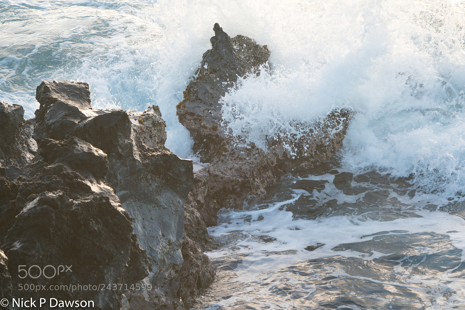 Sony a9 sample photo. Hawaii photography