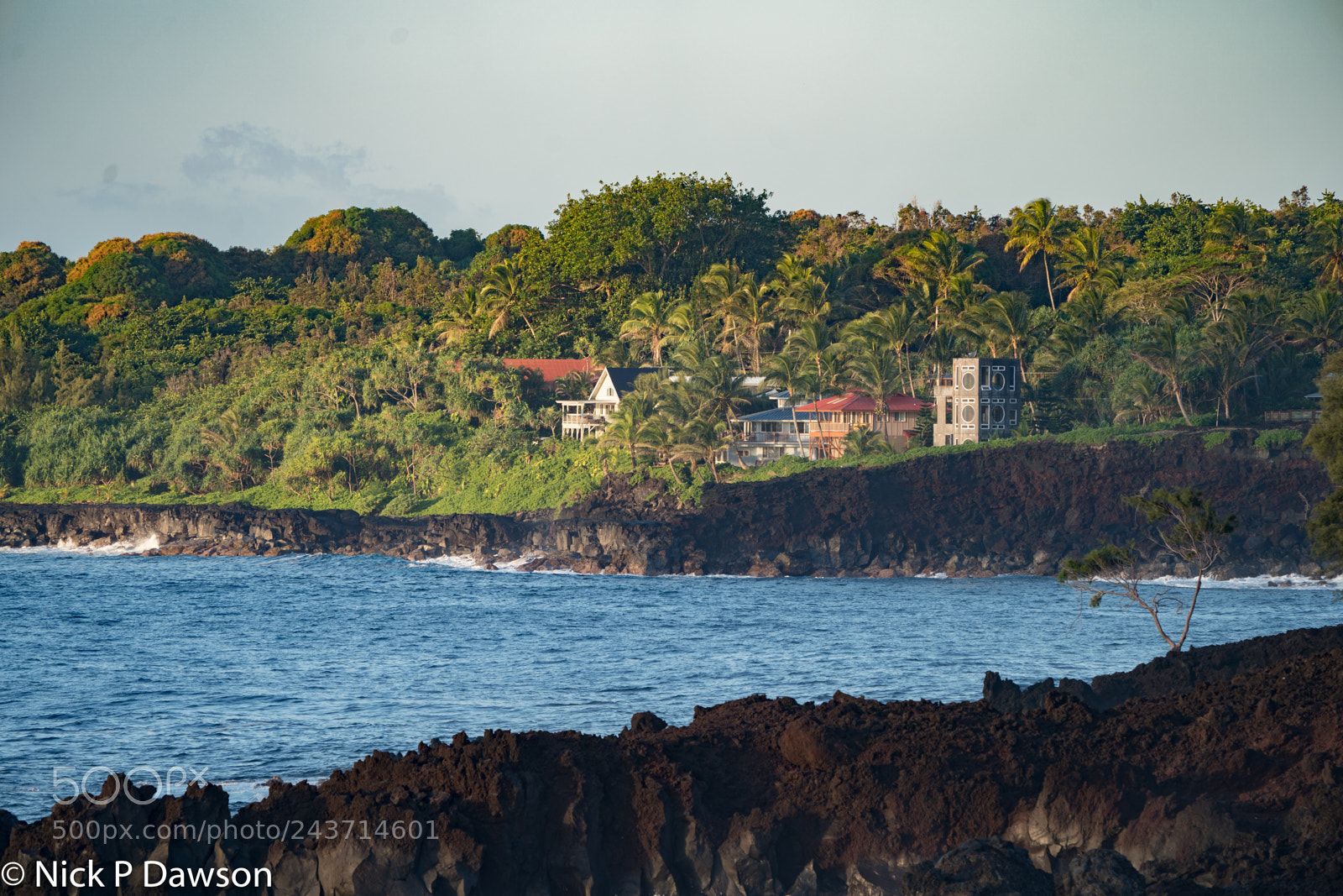 Sony a9 sample photo. Hawaii photography