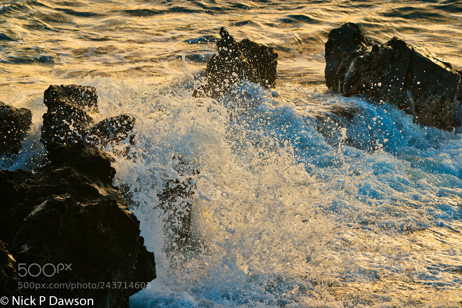 Sony a9 sample photo. Hawaii photography