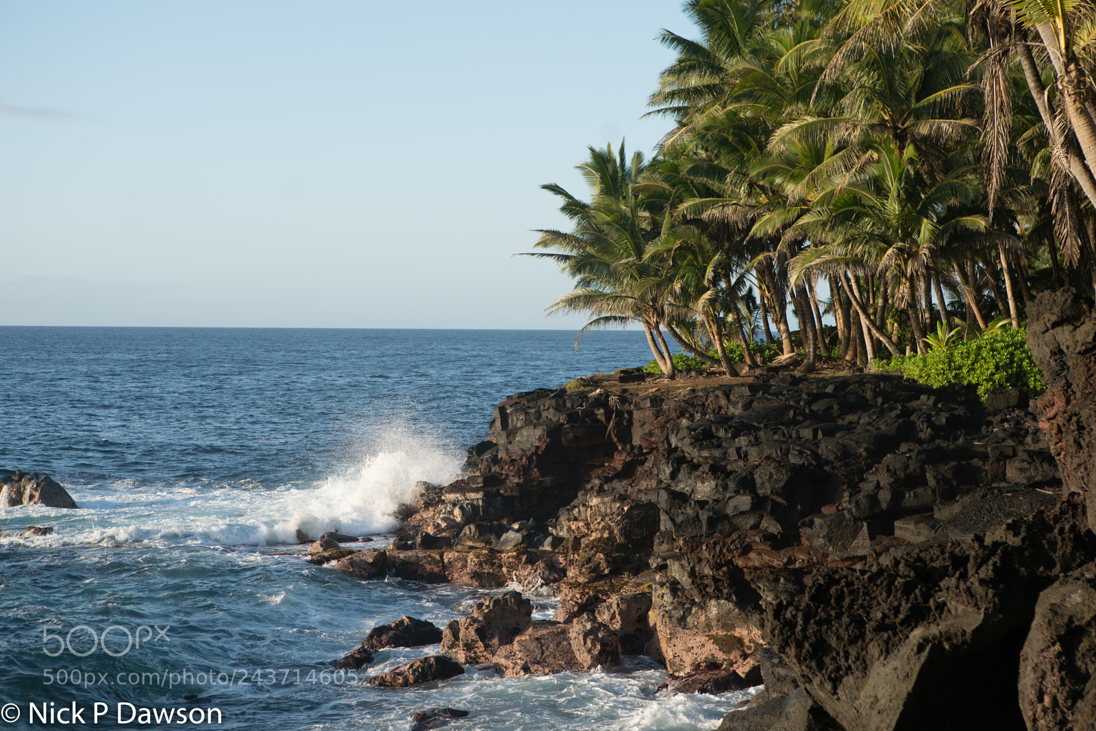 Sony a9 sample photo. Hawaii photography