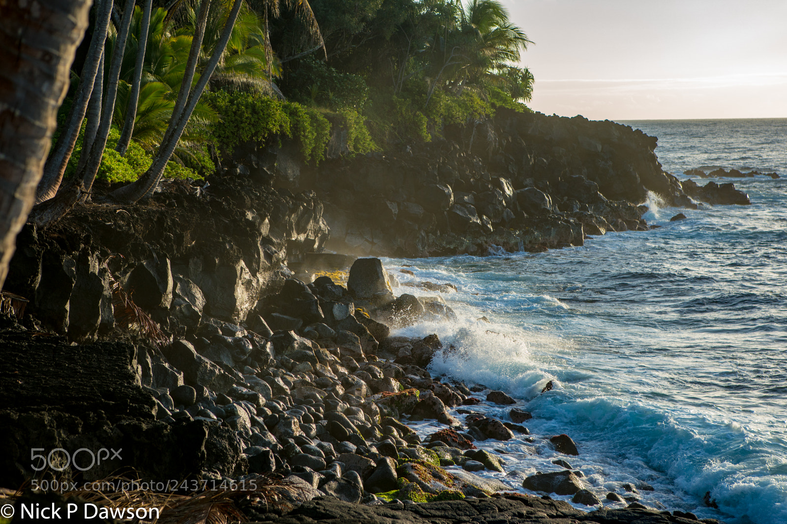 Sony a9 sample photo. Hawaii photography