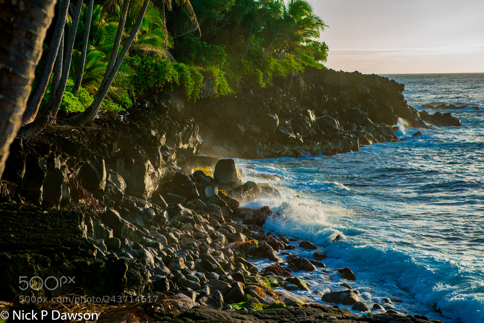 Sony a9 sample photo. Hawaii photography
