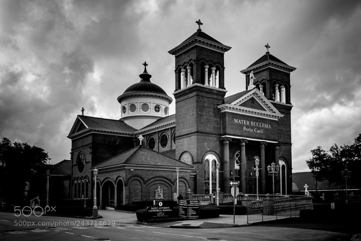 Nikon D7100 sample photo. St. anthony's cathedral basilica photography