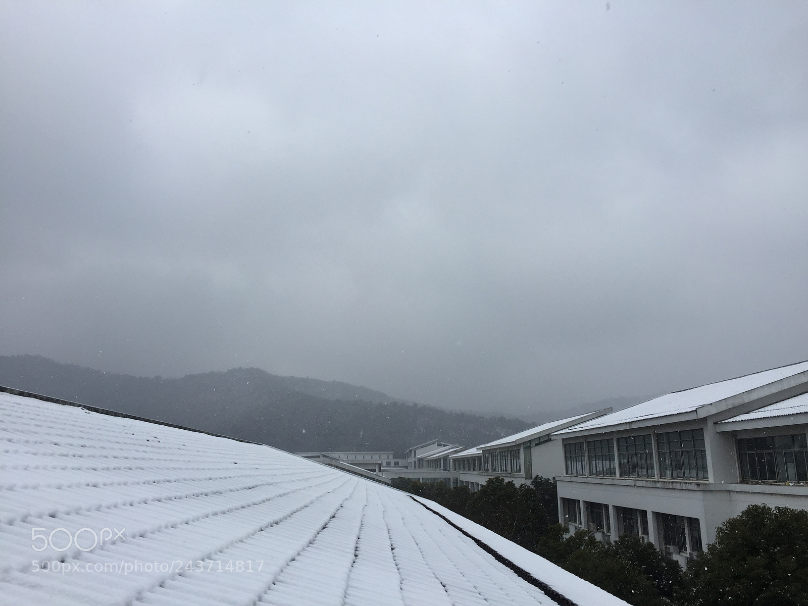 Apple iPhone 6 sample photo. First snow of 2018 photography