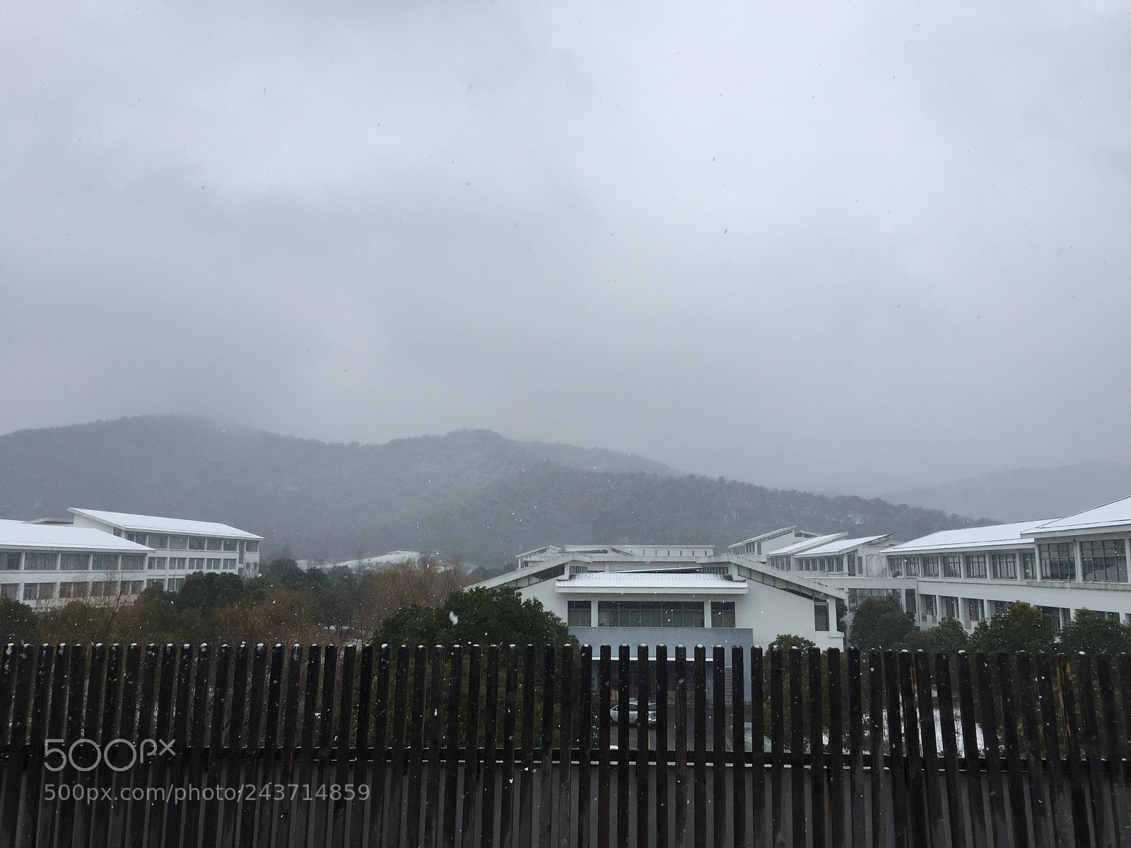 Apple iPhone 6 sample photo. Roof garden photography