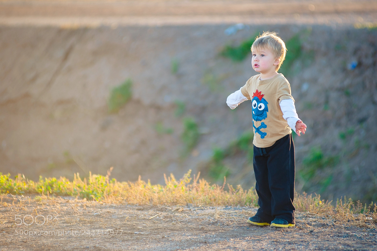 Nikon D700 sample photo. Small boy watching balloons photography