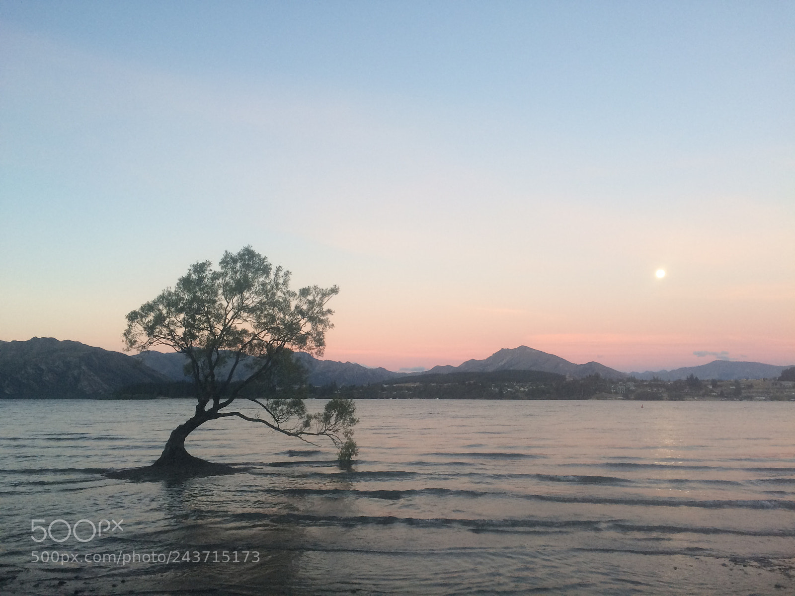 Apple iPhone 5s sample photo. Moonrise willow photography