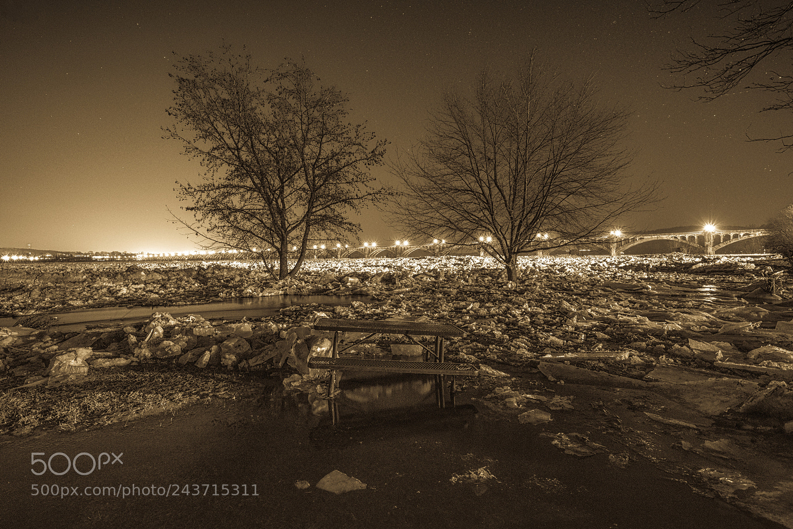 Sony a7R sample photo. "sepia ice jams" photography