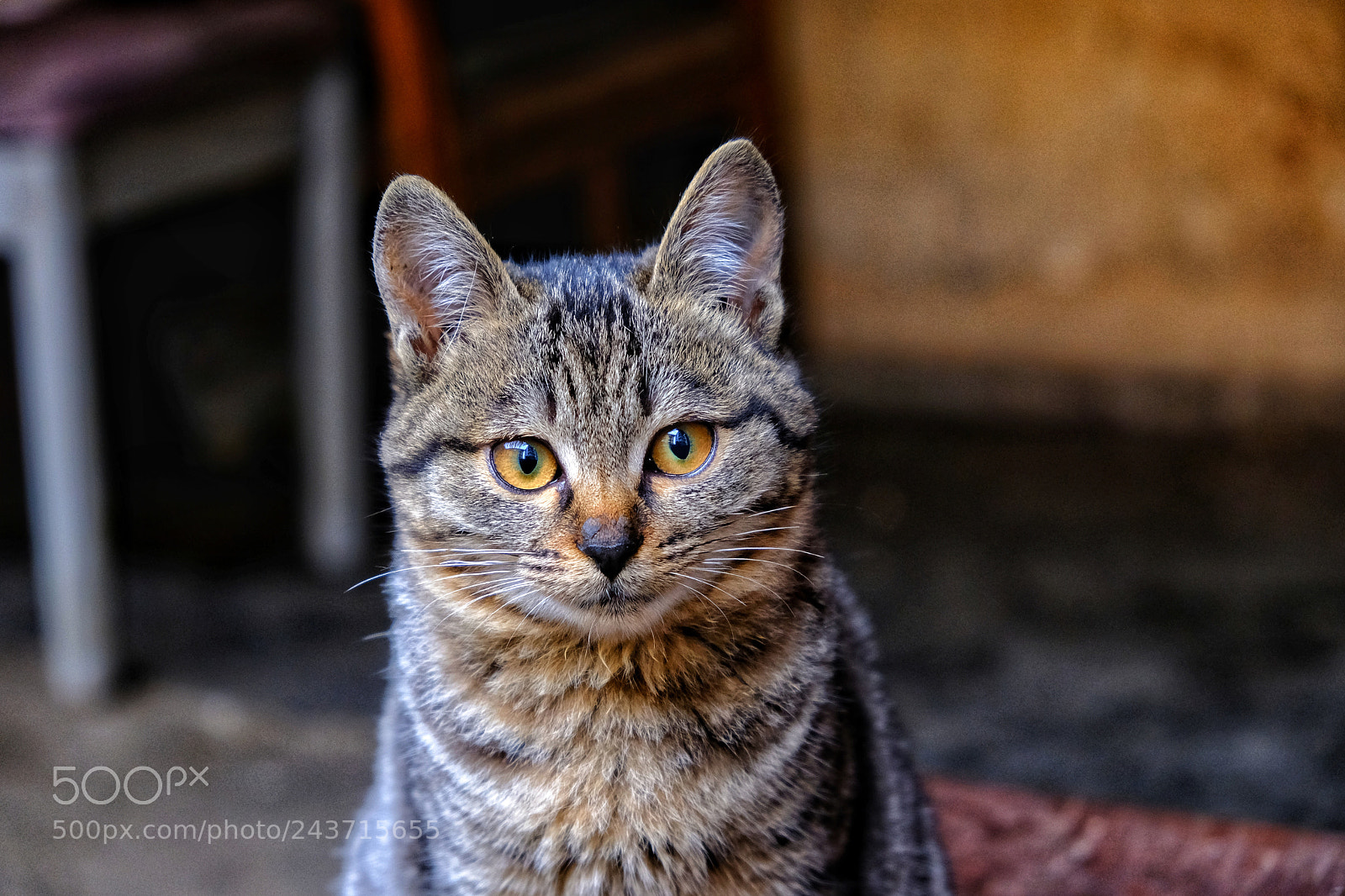Fujifilm X-Pro2 sample photo. Untitled photography