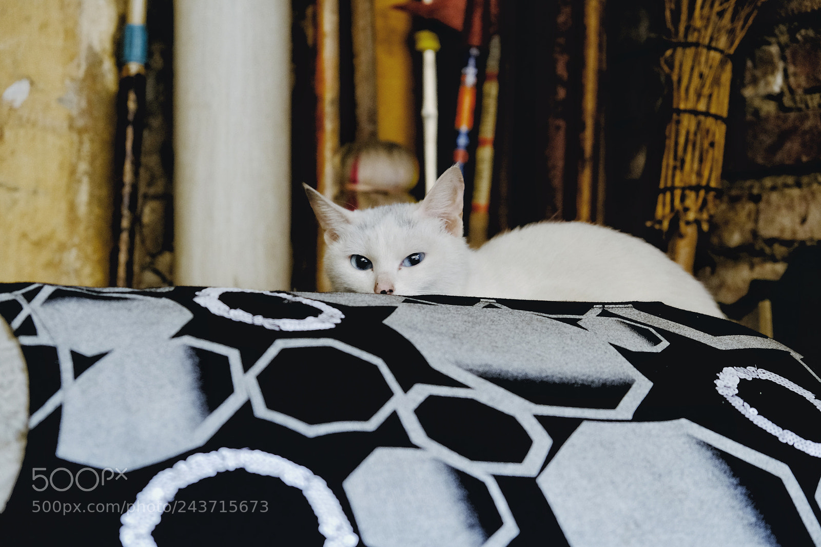 Fujifilm X-Pro2 sample photo. Untitled photography