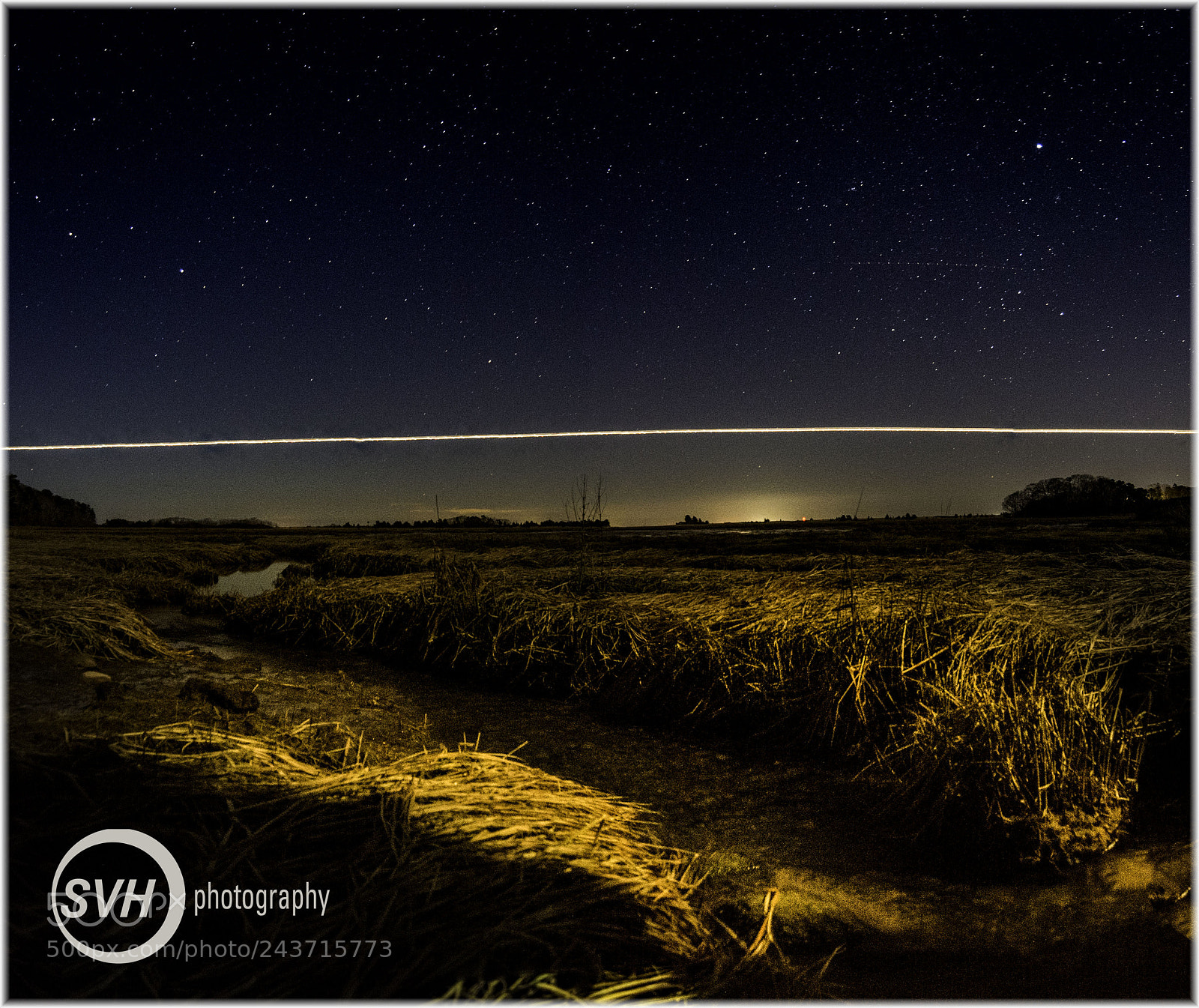 Nikon D7200 sample photo. The nerve photography