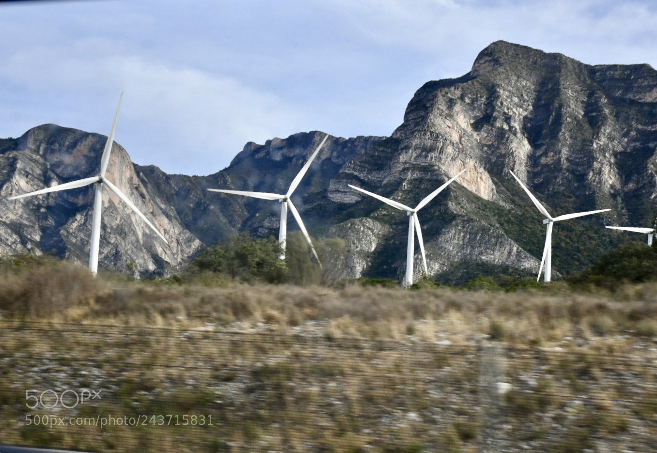 Nikon D7500 sample photo. Untitled photography