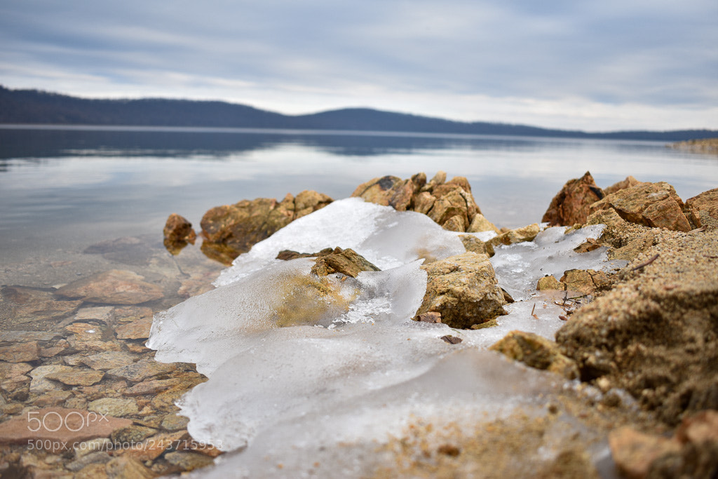 Nikon D3400 sample photo. Frozen in a winter photography