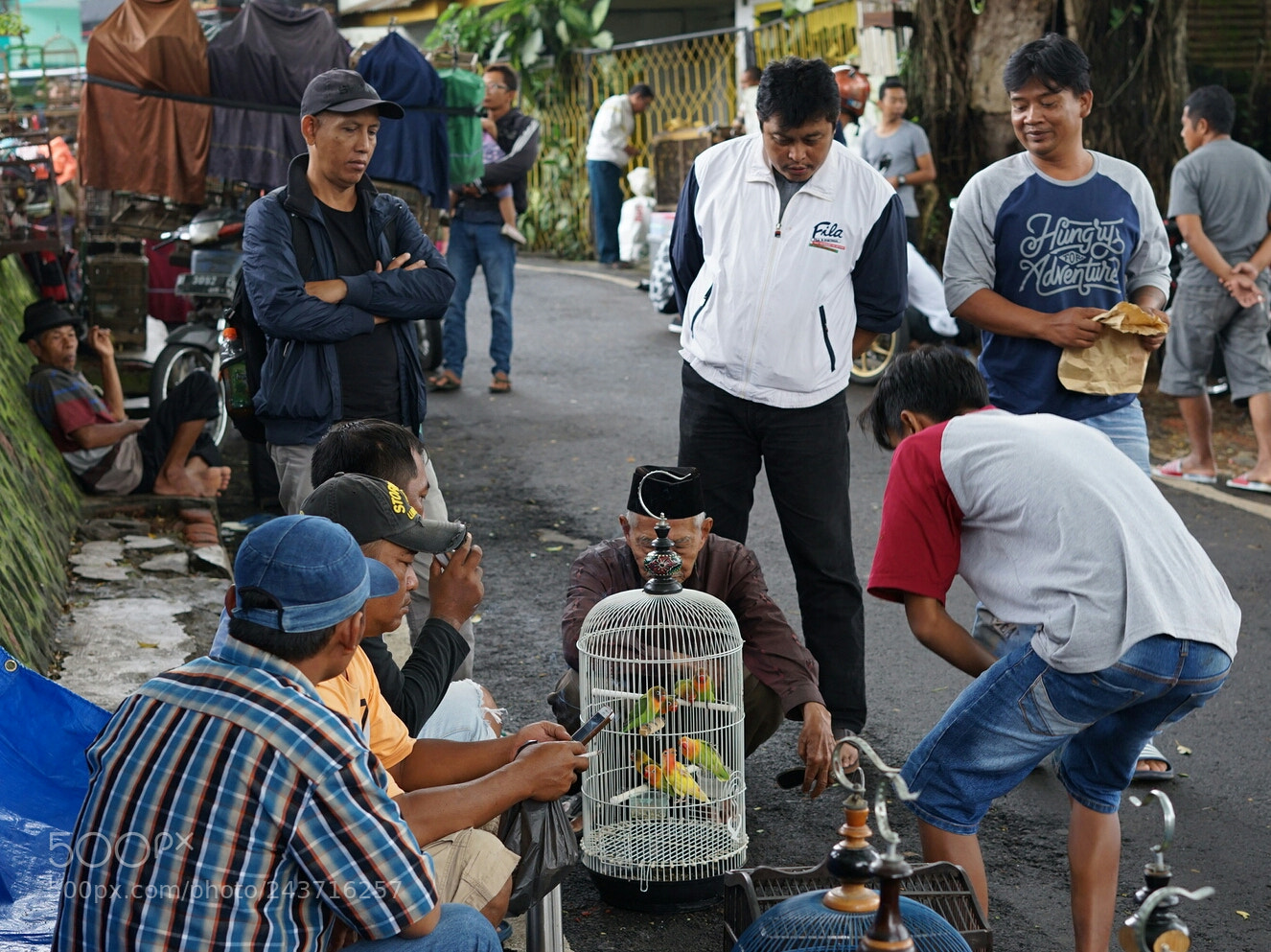 Sony a7 II sample photo. Bird market splendid photography