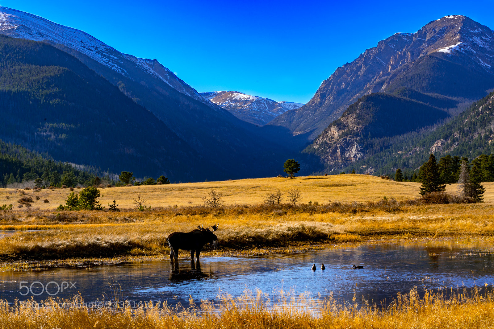 Sony a7R II sample photo. Peaceful photography