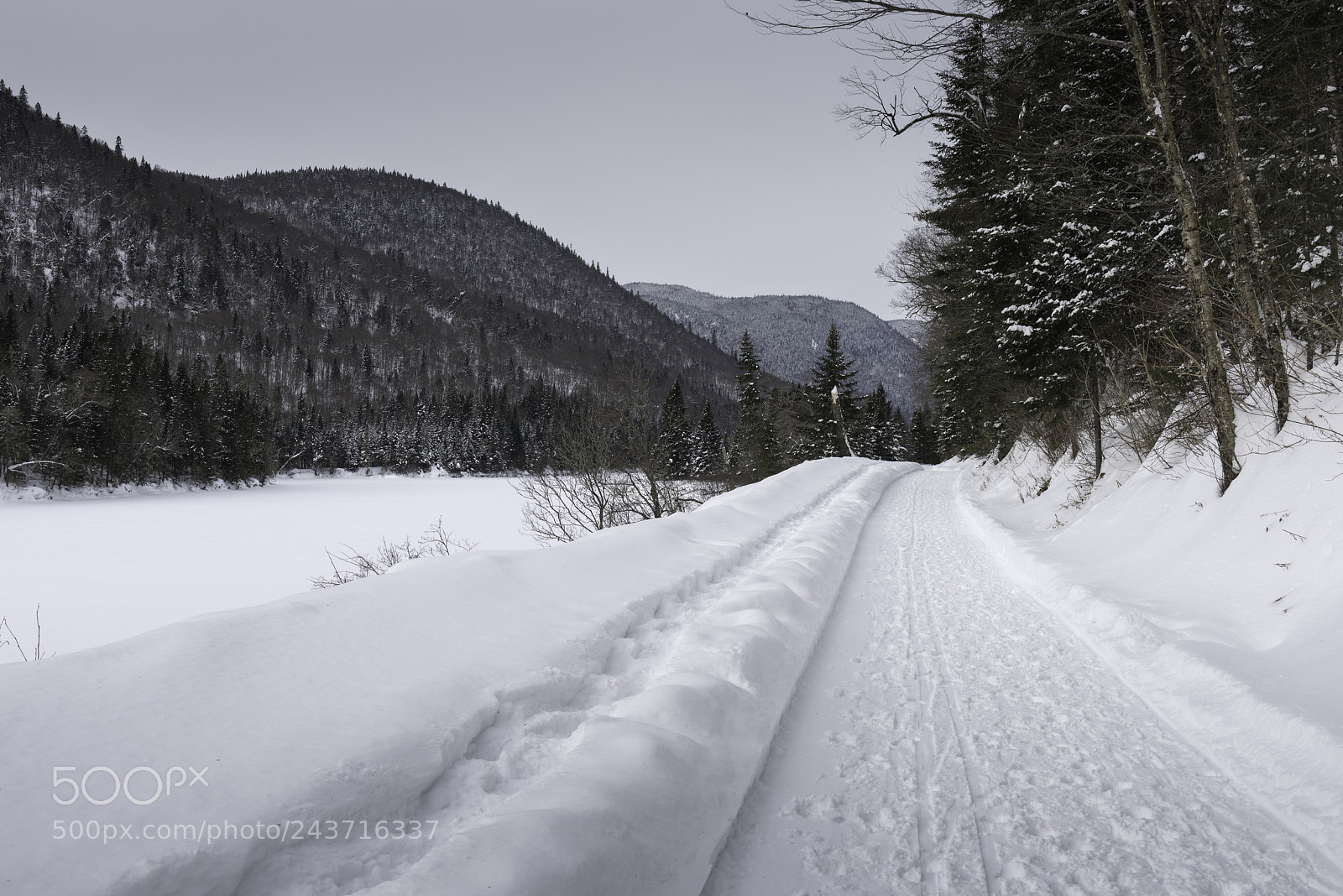 Nikon D810 sample photo. Trail through the snow photography