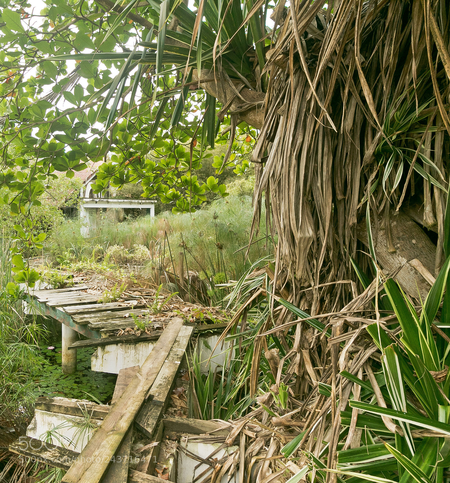 Canon EOS 7D Mark II sample photo. Dr abandonedresort photography