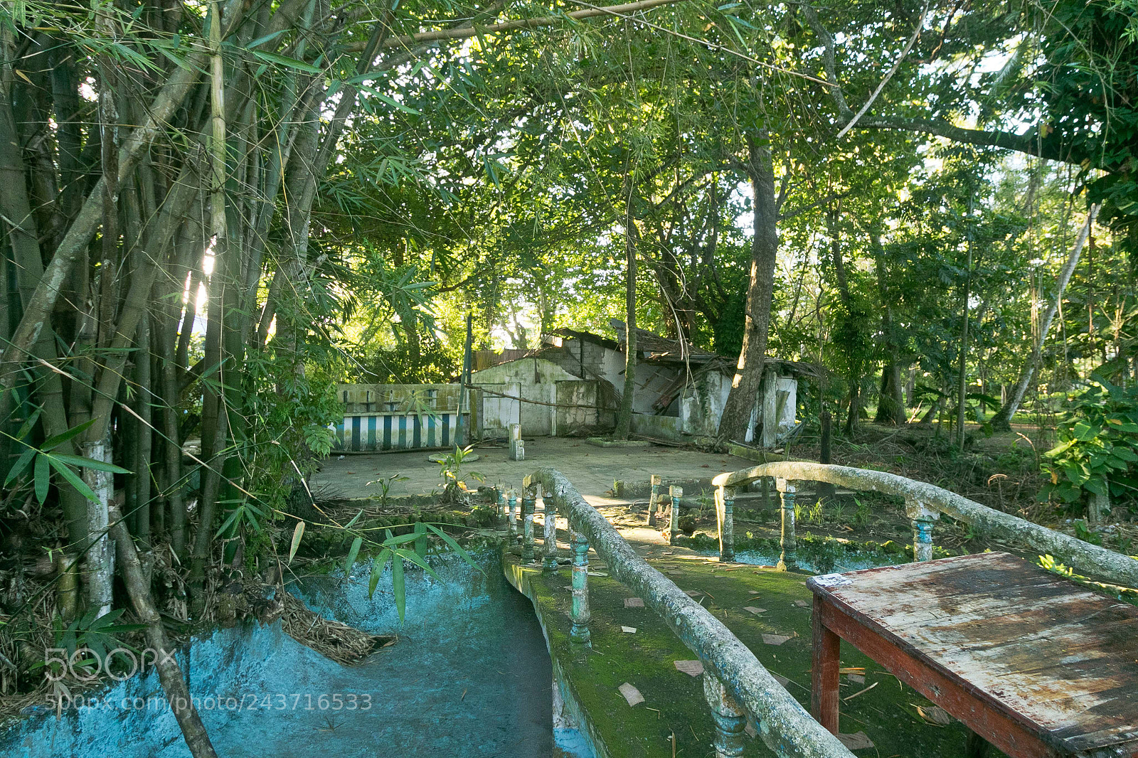 Canon EOS 7D Mark II sample photo. Dr bluehotel photography