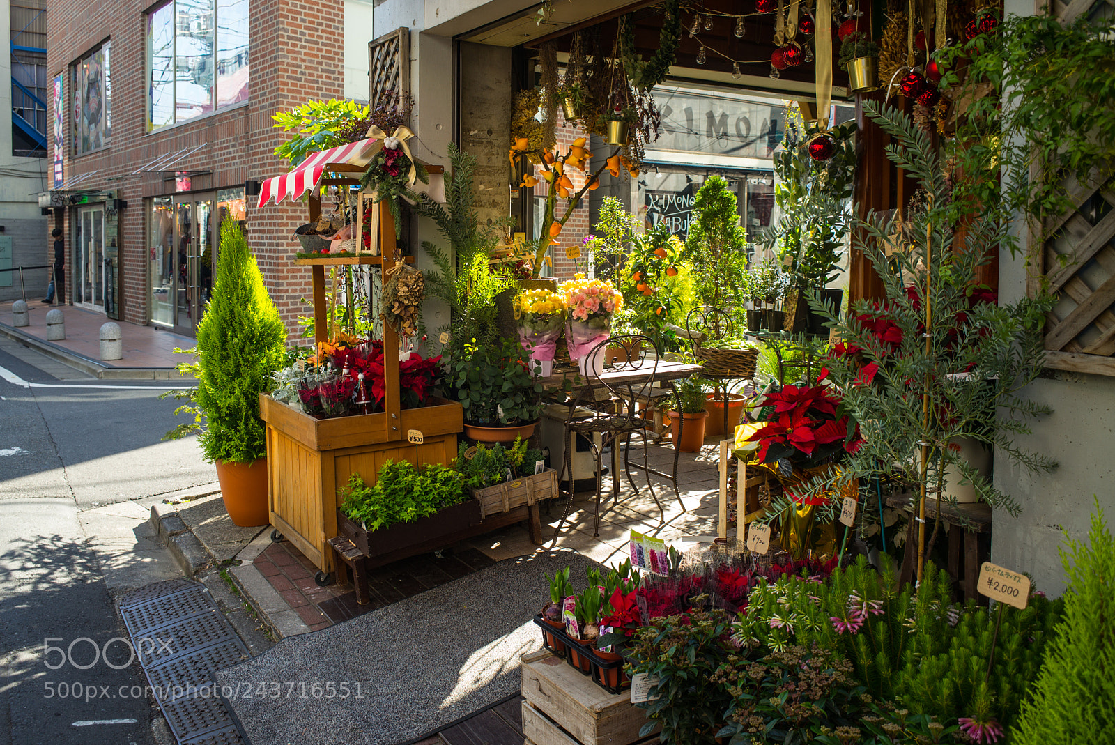 Leica M (Typ 240) sample photo. Flower shop in tokyo photography