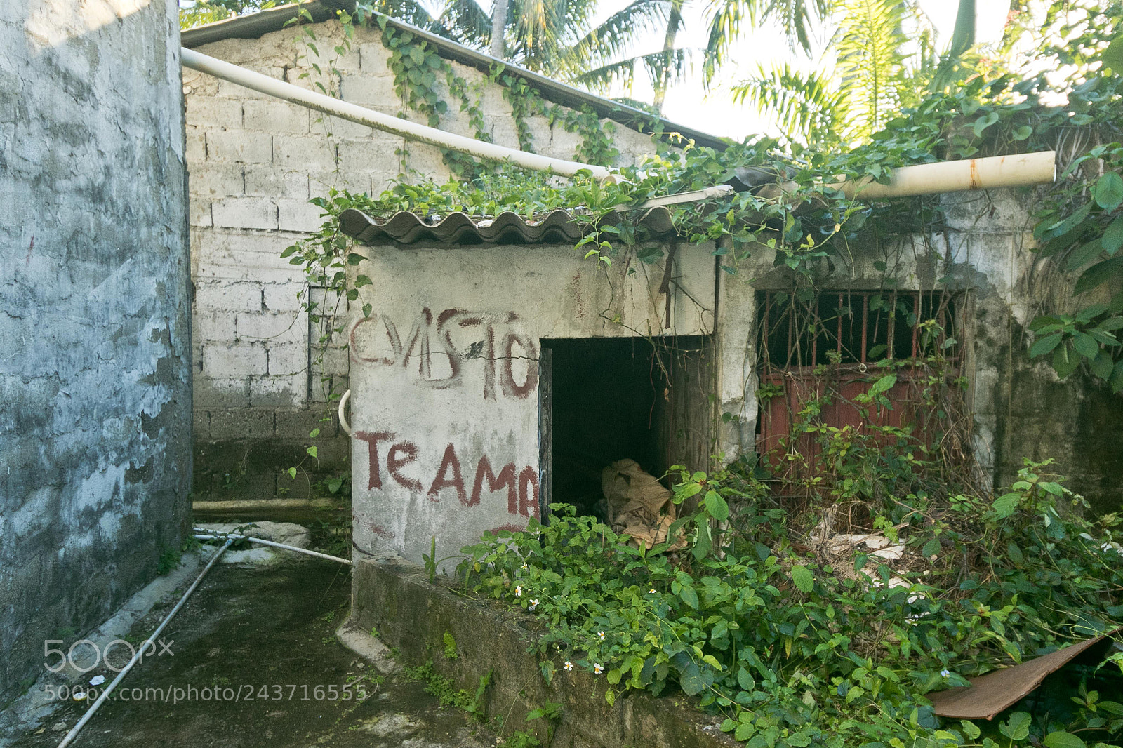 Canon EOS 7D Mark II sample photo. Dr bluehotel photography