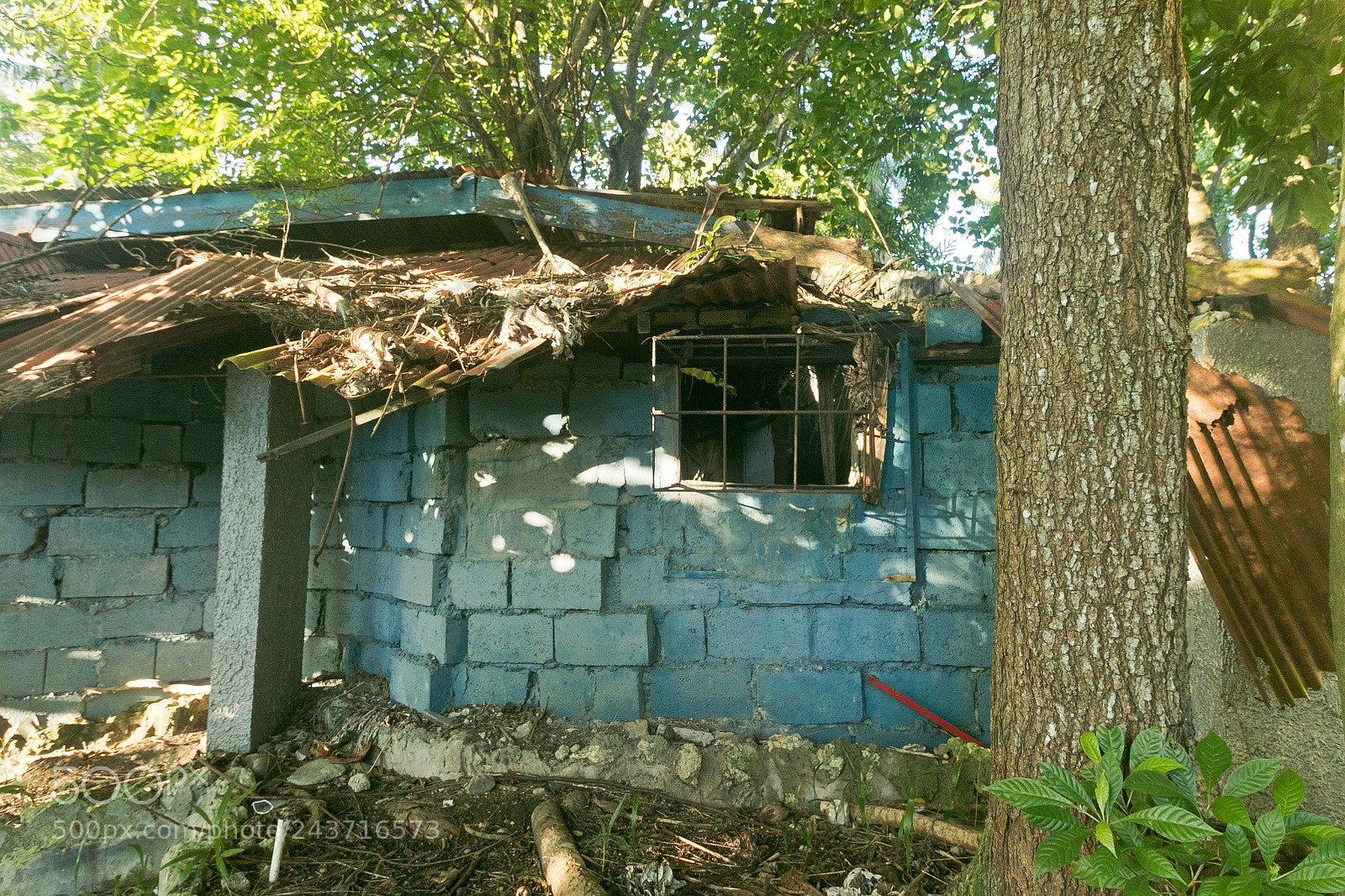 Canon EOS 7D Mark II sample photo. Dr bluehotel photography
