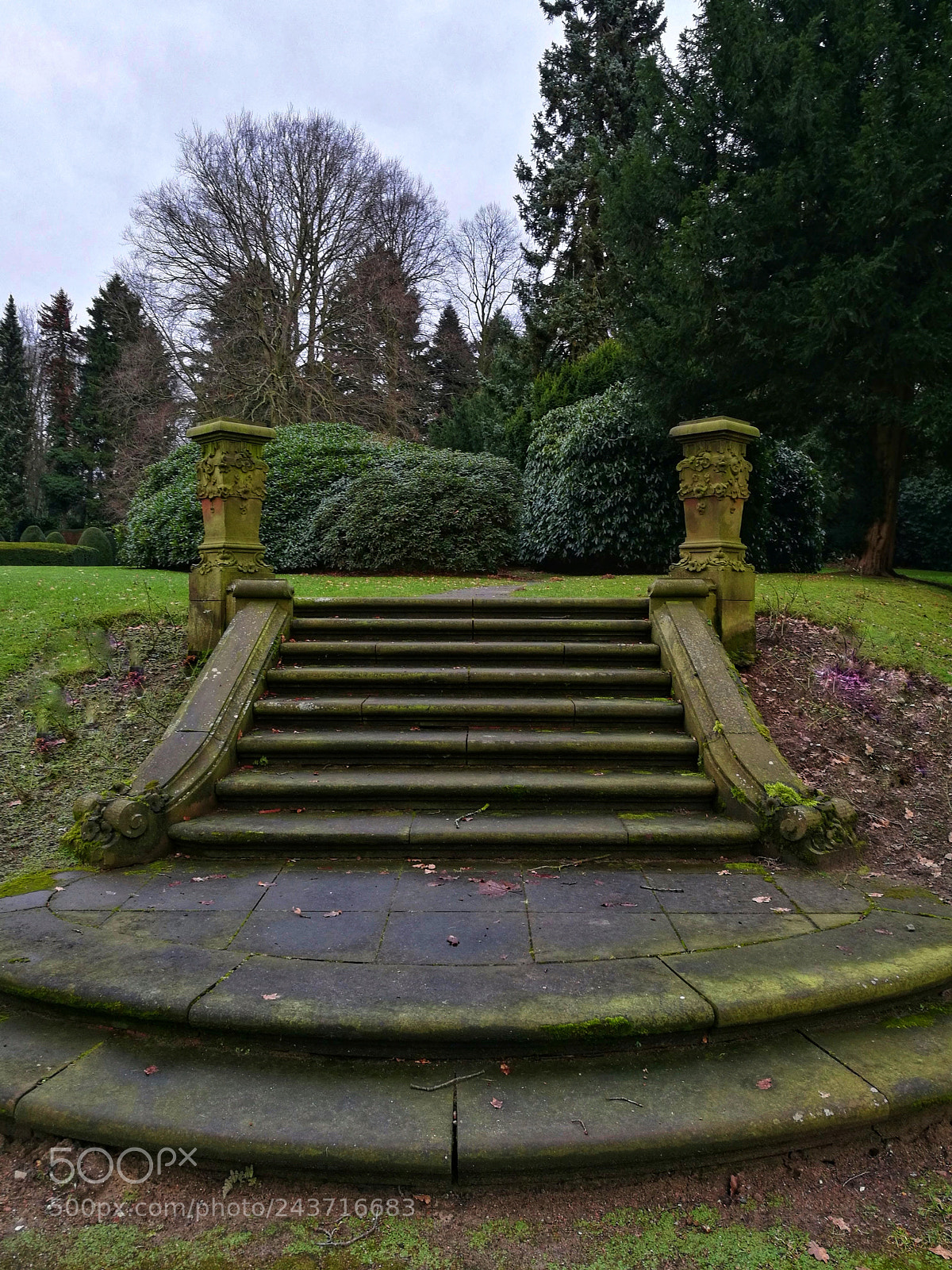 HUAWEI Honor 8 sample photo. Steps into the green photography