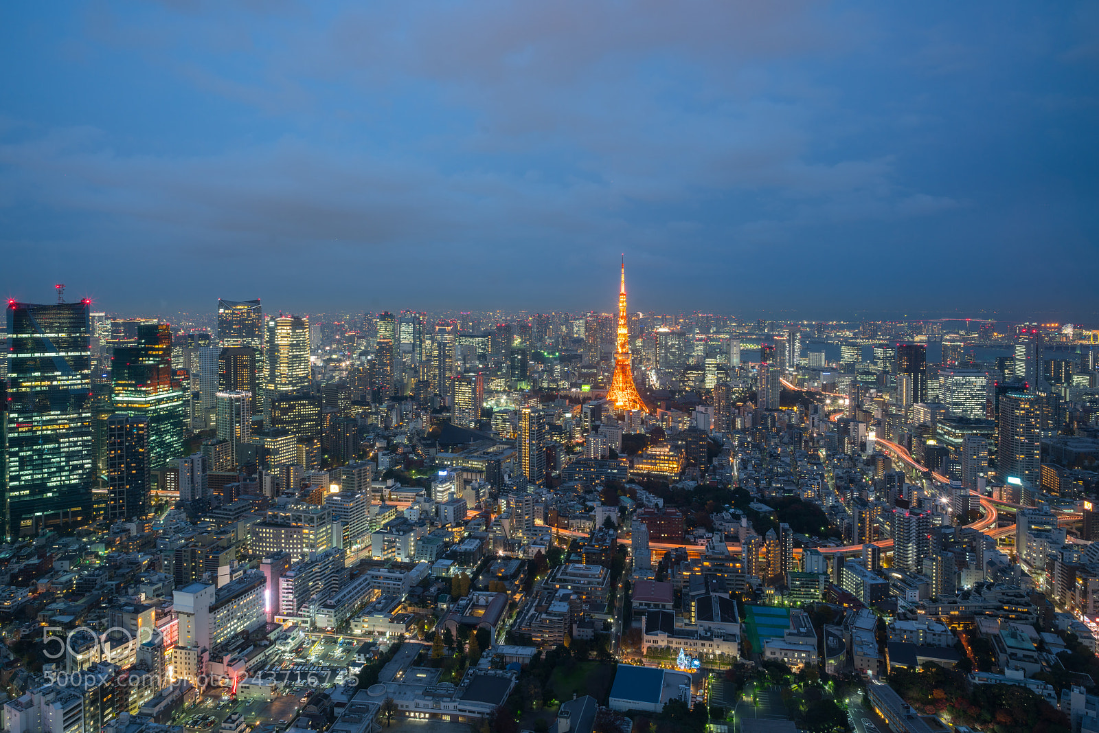 Sony a7R II sample photo. Tokyo tower photography