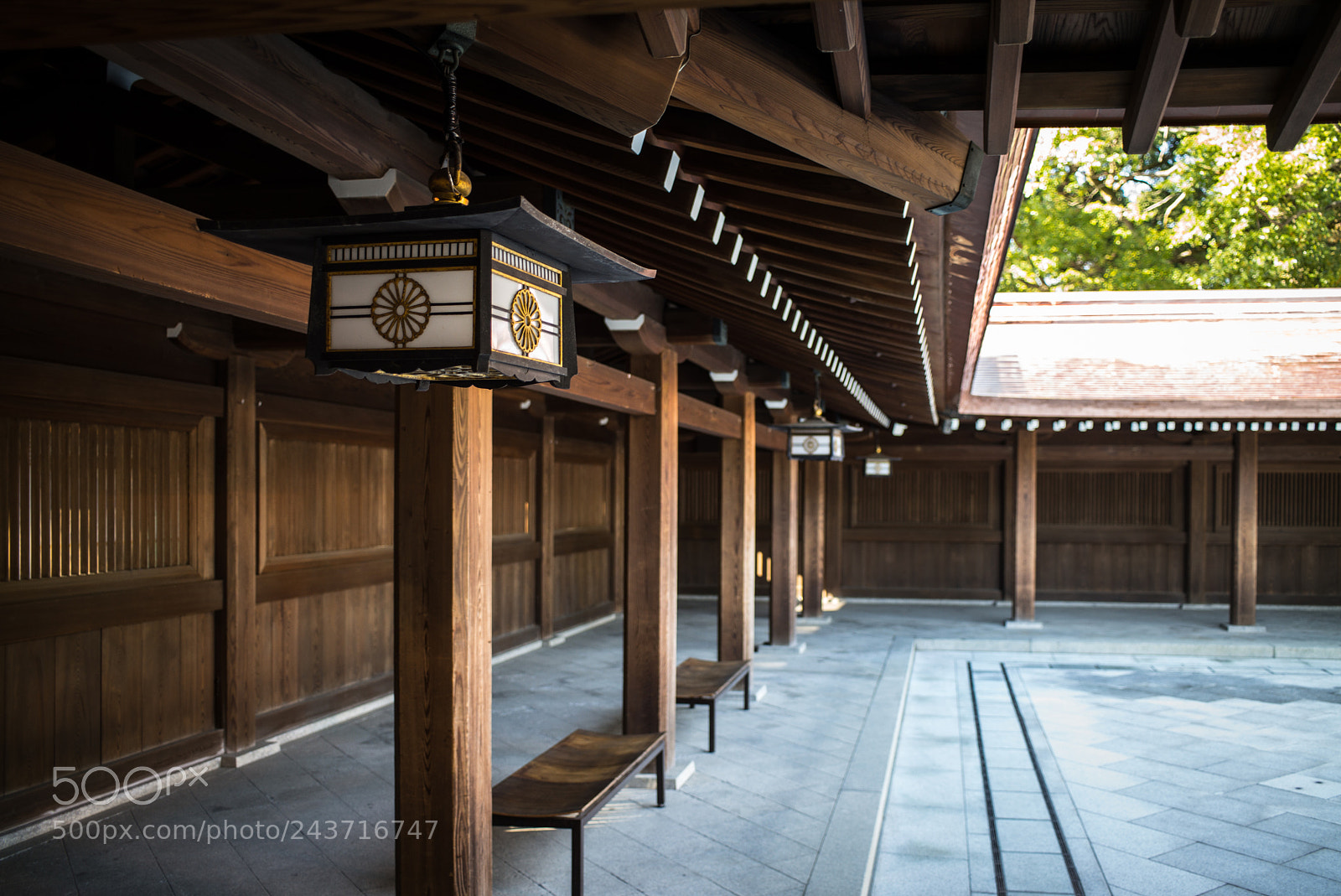 Leica M (Typ 240) sample photo. Meiji jingu photography