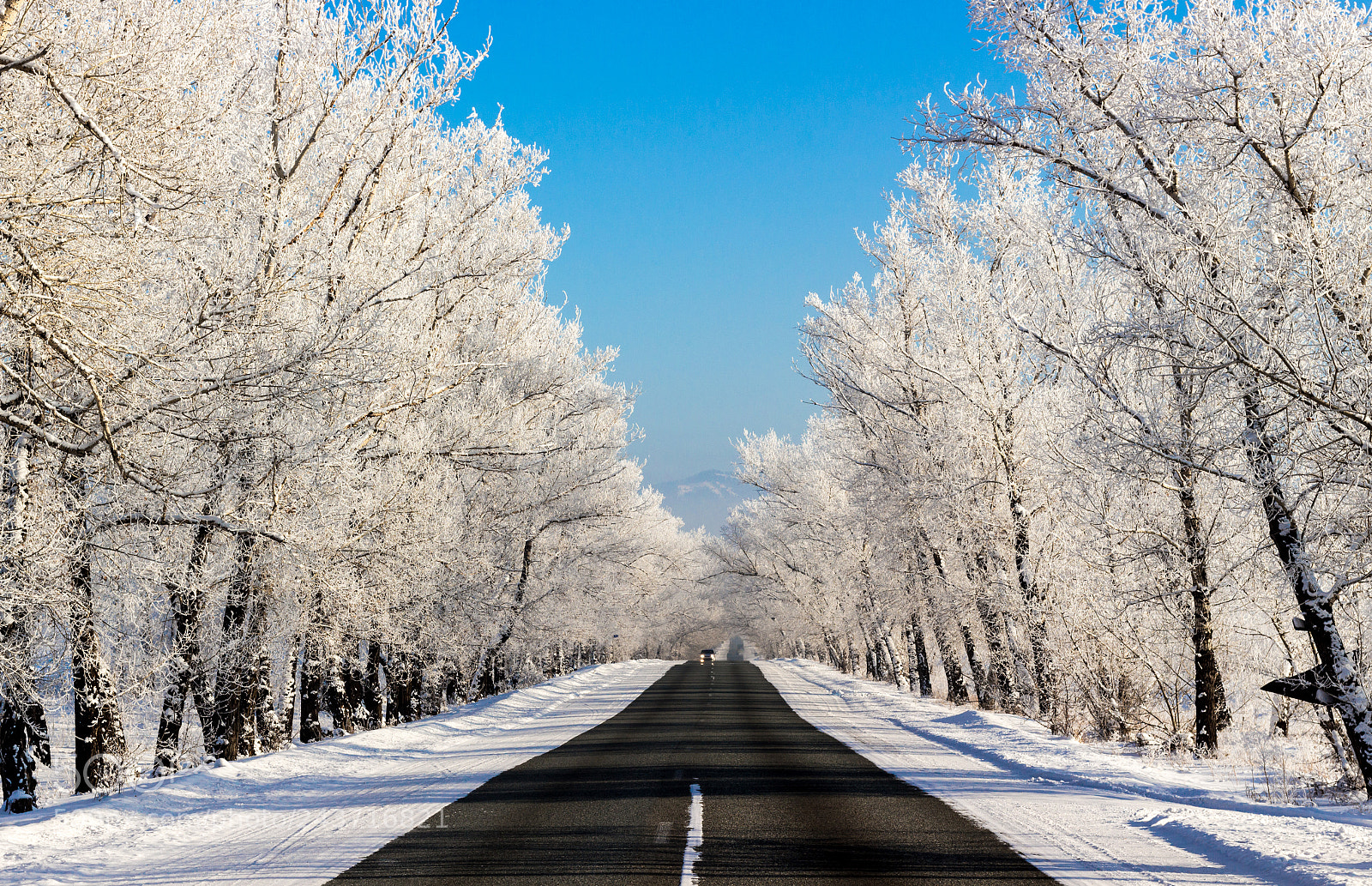 Canon EOS 100D (EOS Rebel SL1 / EOS Kiss X7) sample photo. Beautiful snowy winter road photography