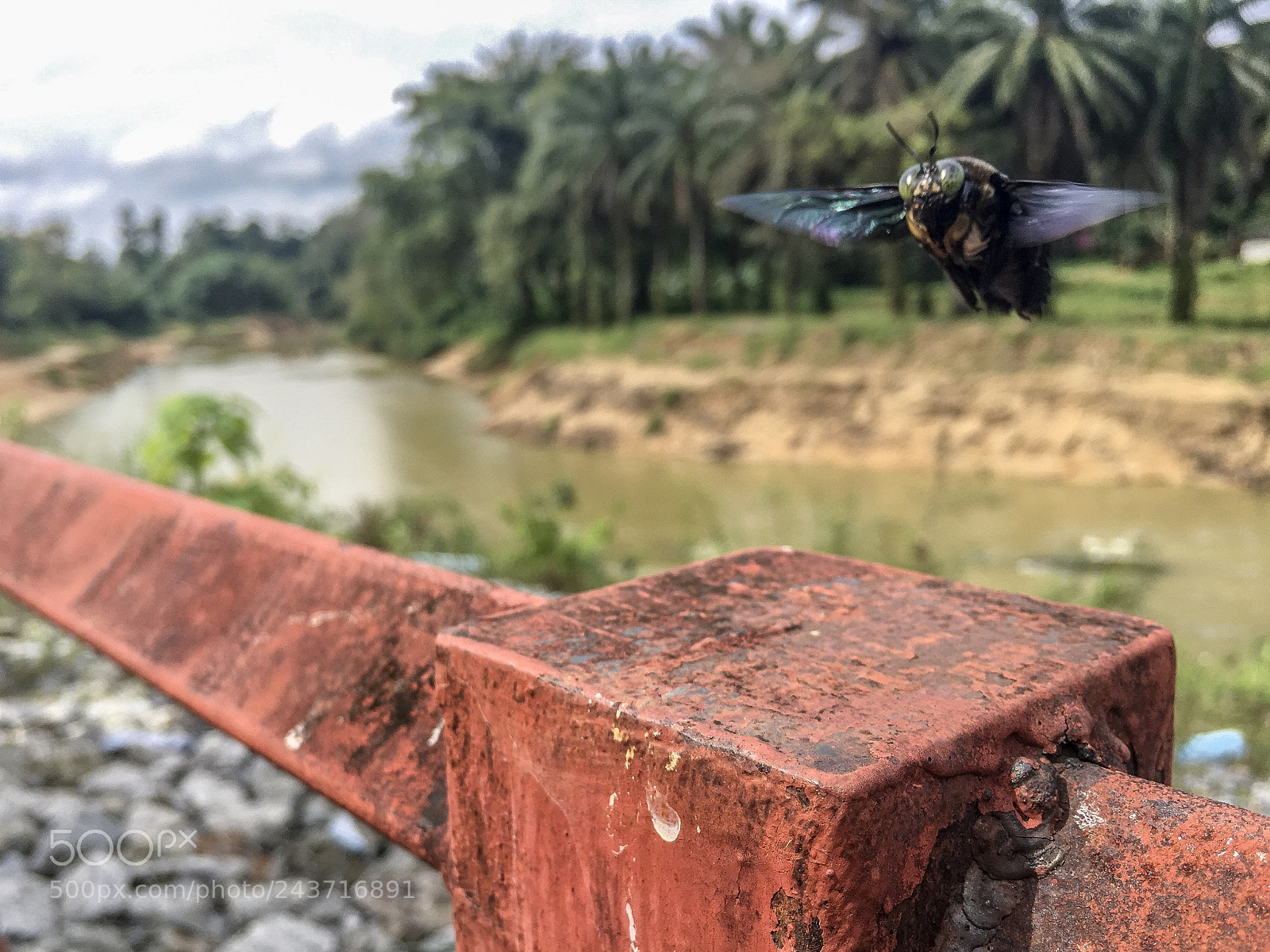 Apple iPhone 6s Plus sample photo. Landing photography