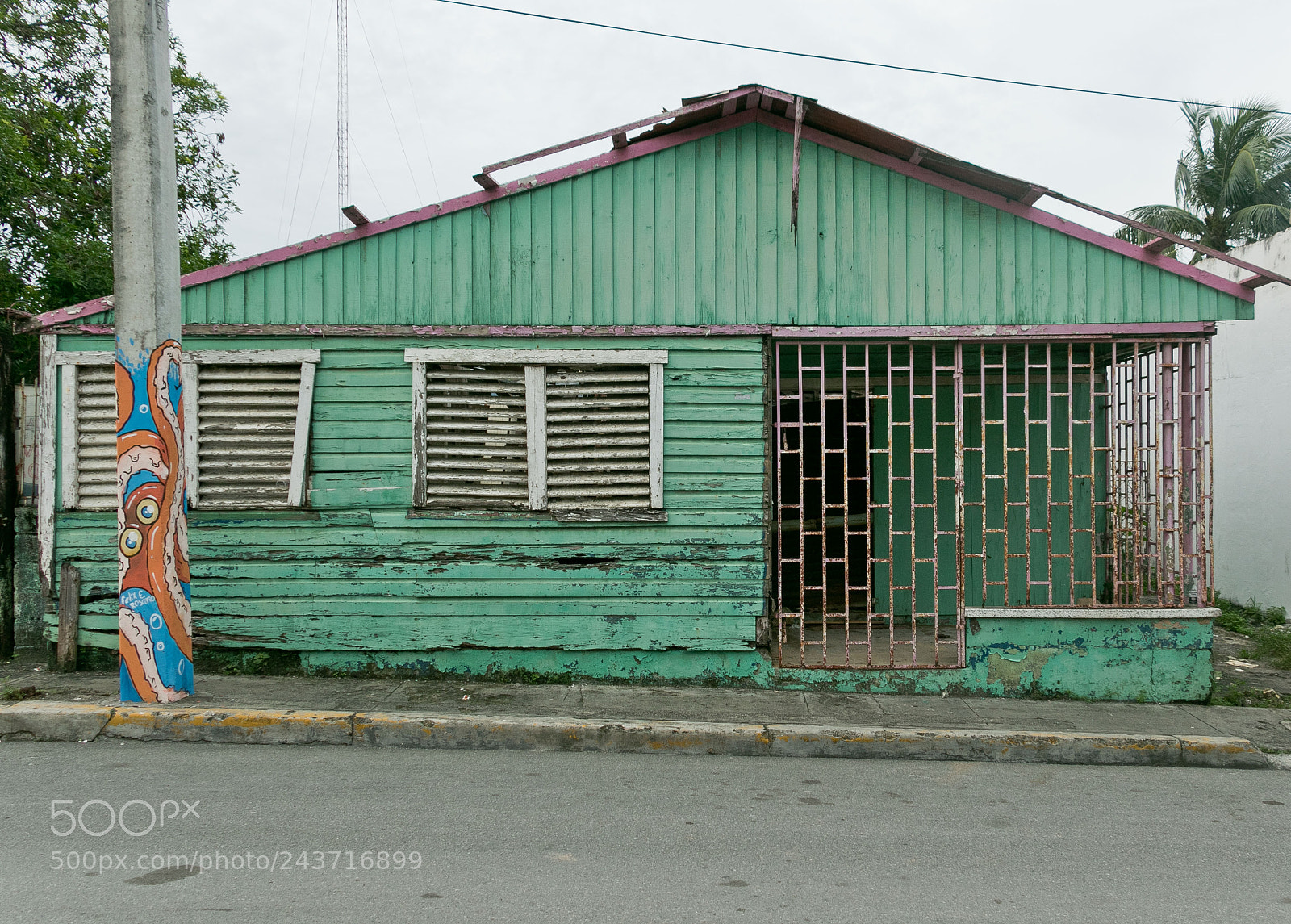 Canon EOS 7D Mark II sample photo. Dr greenhouse photography