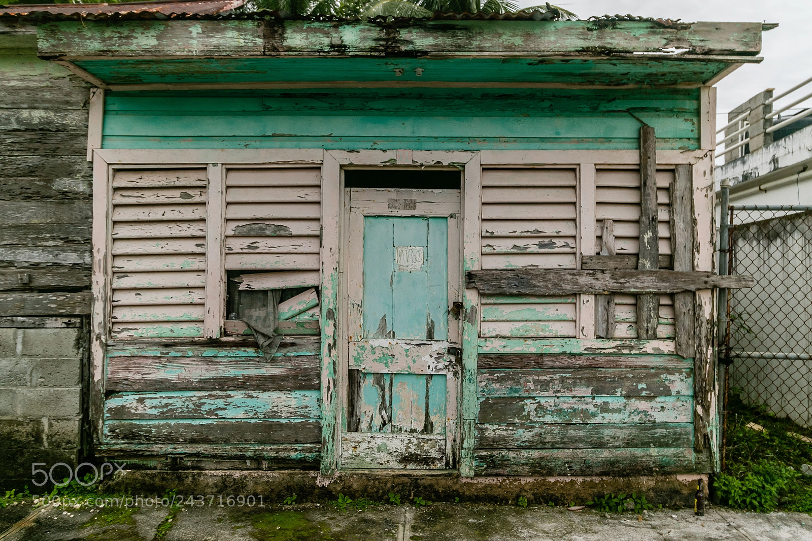 Canon EOS 7D Mark II sample photo. Dr greenshack photography
