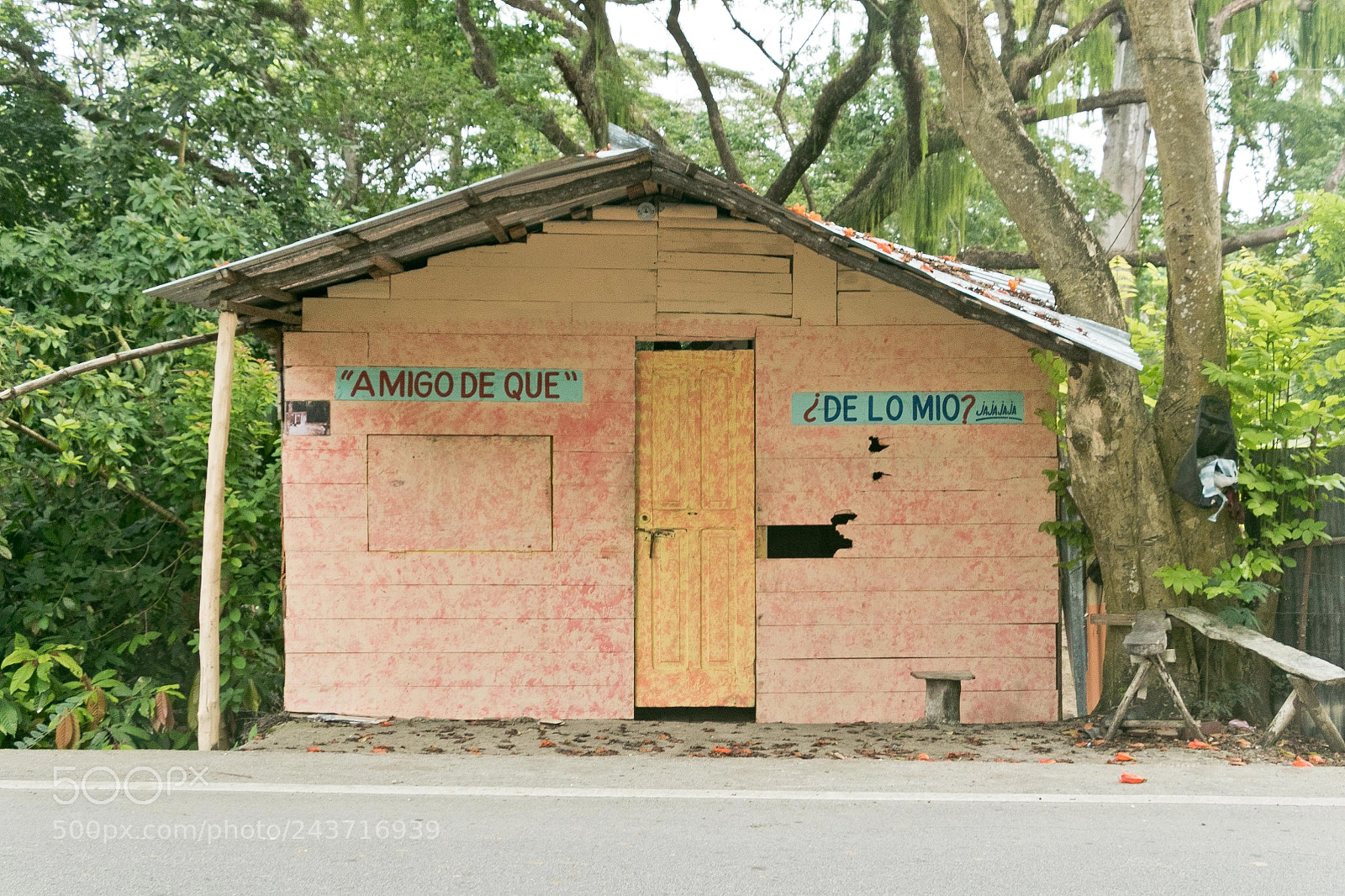 Canon EOS 7D Mark II sample photo. Dr pinkamigohouse photography