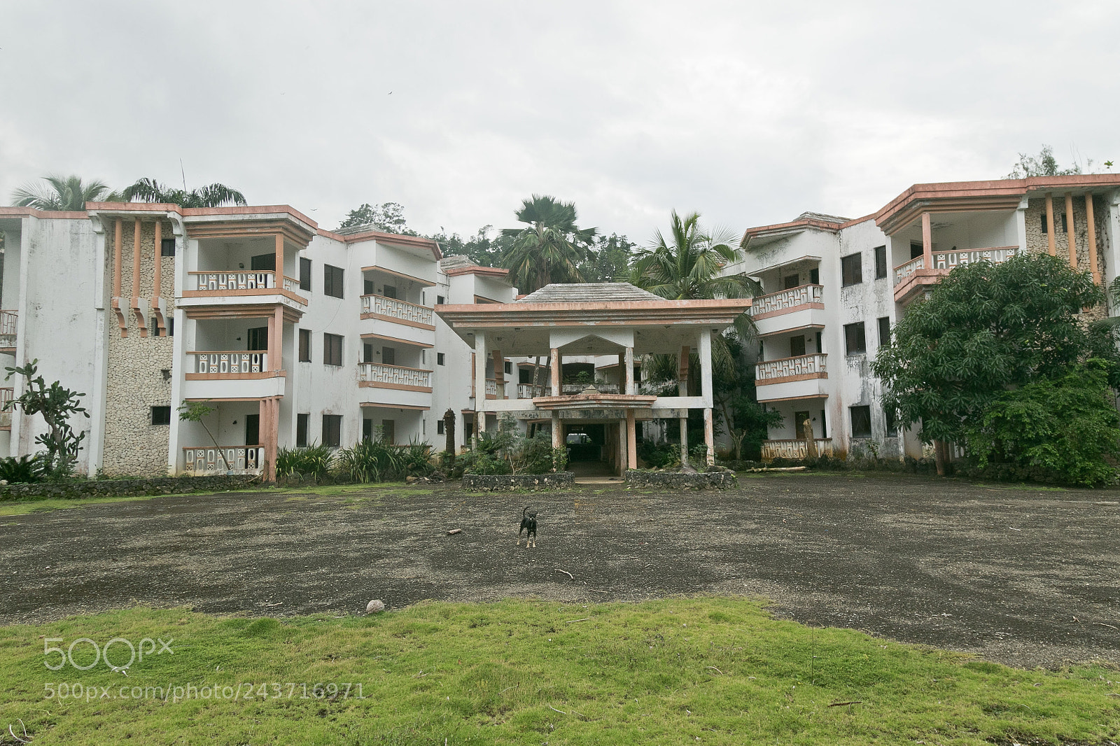 Canon EOS 7D Mark II sample photo. Dr roadsidehotel photography