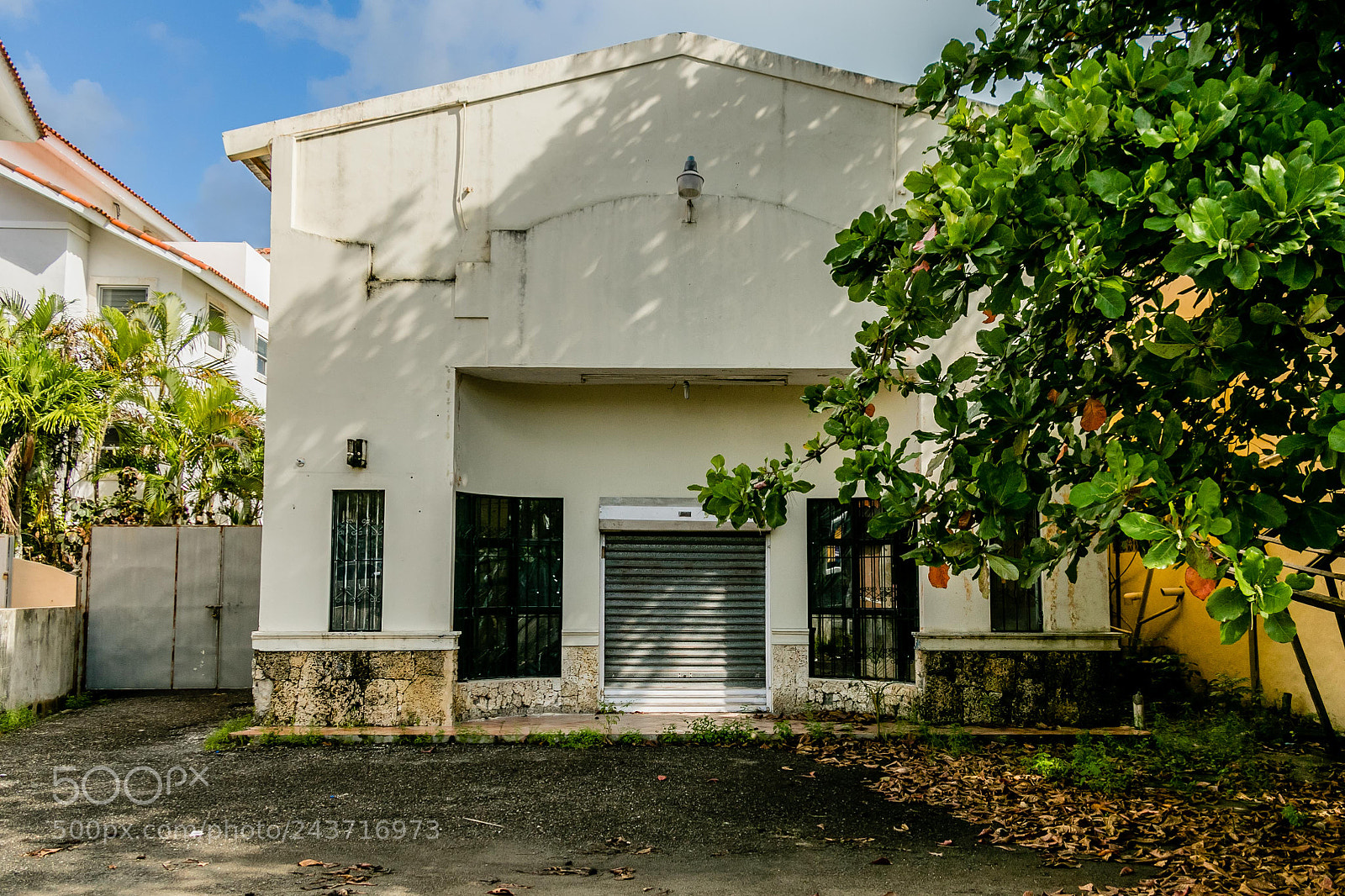 Canon EOS 7D Mark II sample photo. Behind the tree photography